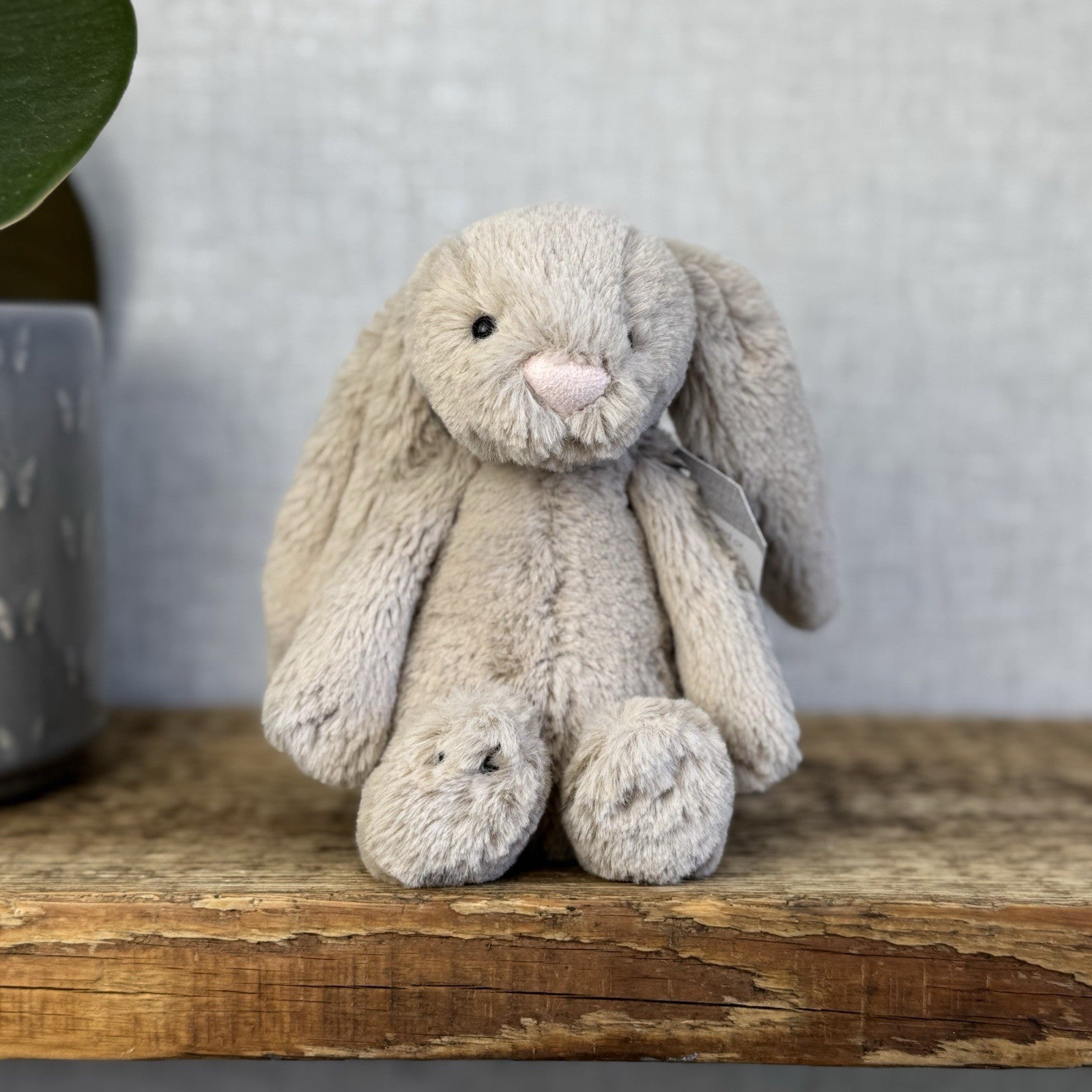Jellycat Small Beige Bashful Bunny - New Without Tags Little Rabbit 8” (#3)