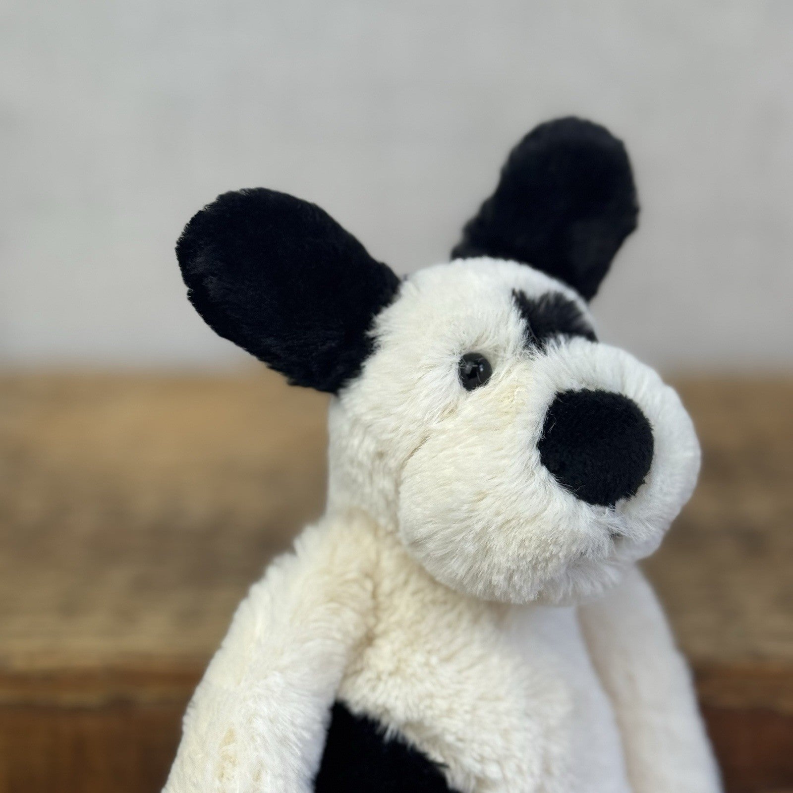 Jellycat Bashful Black & Cream Puppy Dog - Small Beanie Dog Retired Plush 8”