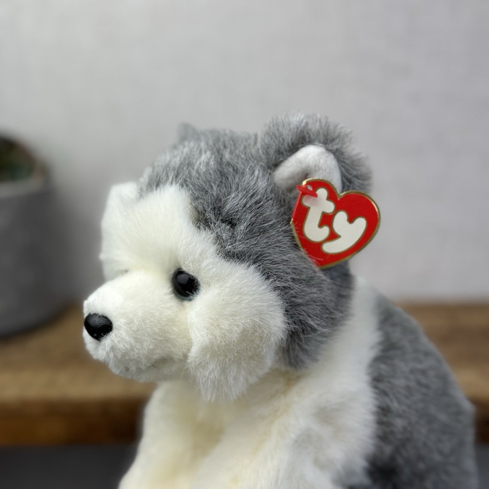 TY Dakota Husky Dog Classic Beanie Babies Soft Toy Pristine New With Tags 10"