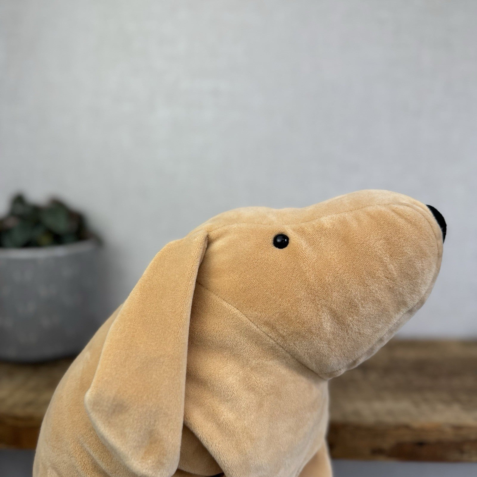 Jellycat Large Mellow Mallow Dog - Beige/Sand Squishy Dog Soft Beanie Toy 12"