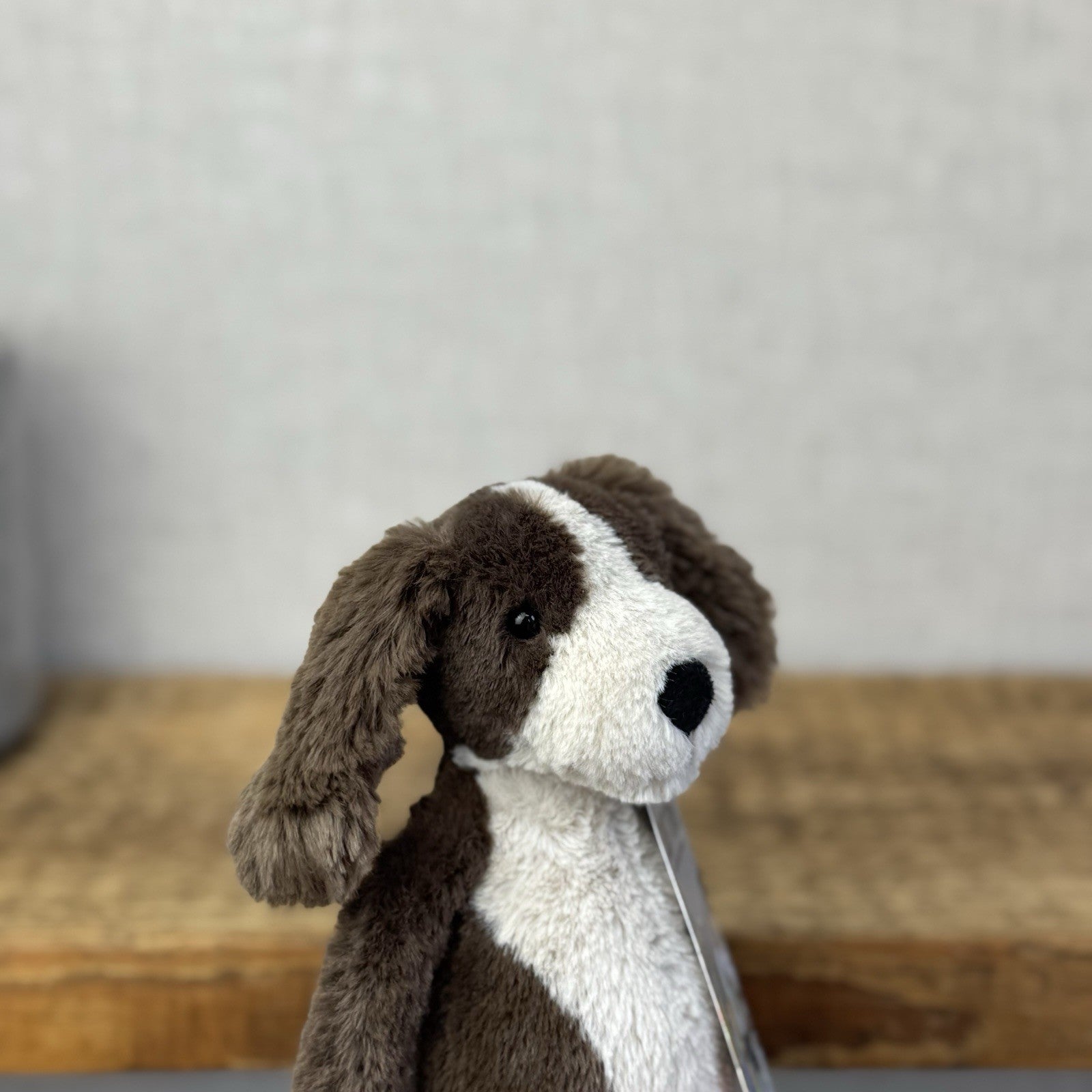 Jellycat Small Bashful Fudge Puppy - Brown Spaniel Bashful Dog Beanie Plush 8"