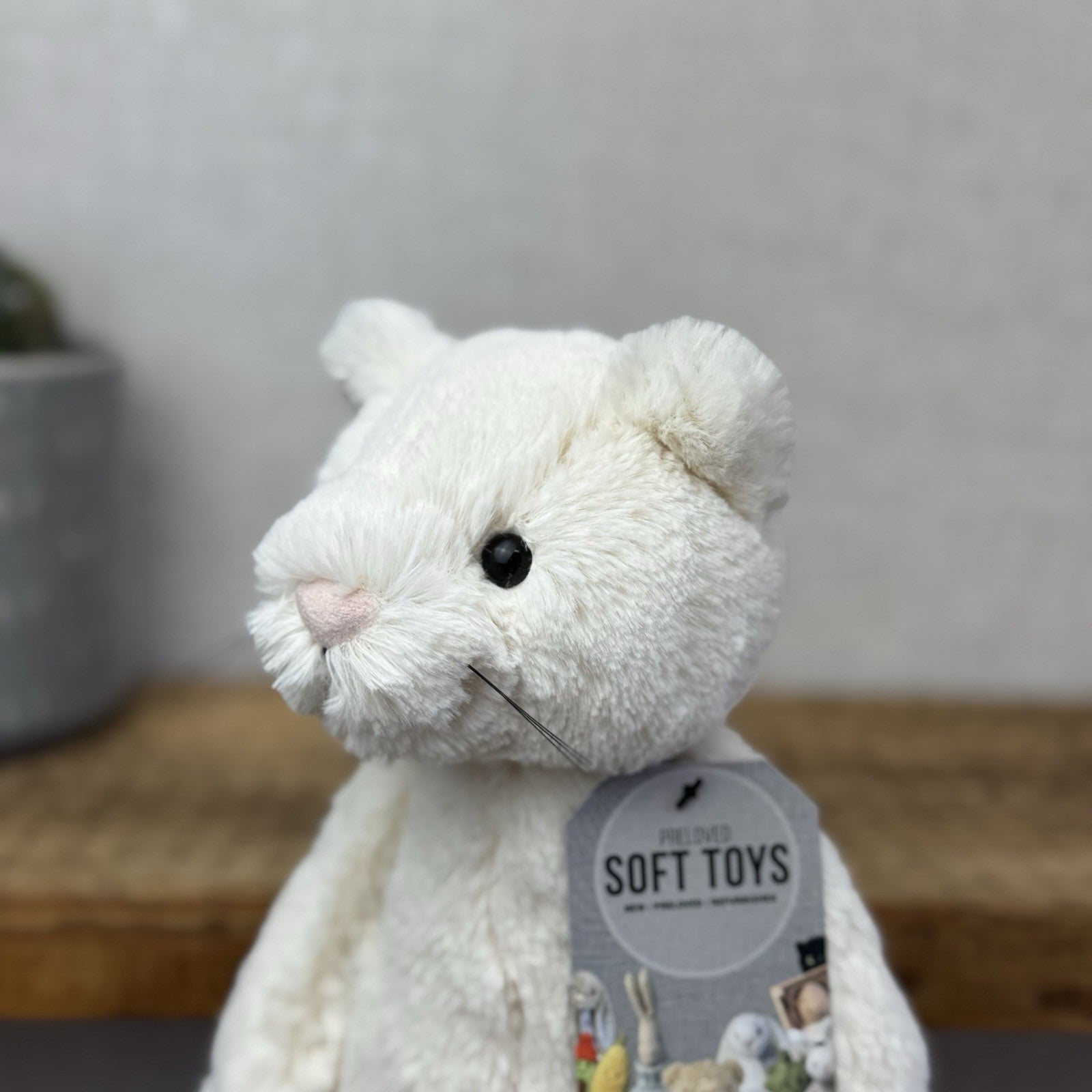 Jellycat Medium Bashful Cream Cat Kitten - Cream Cat With Whiskers Retired 12”