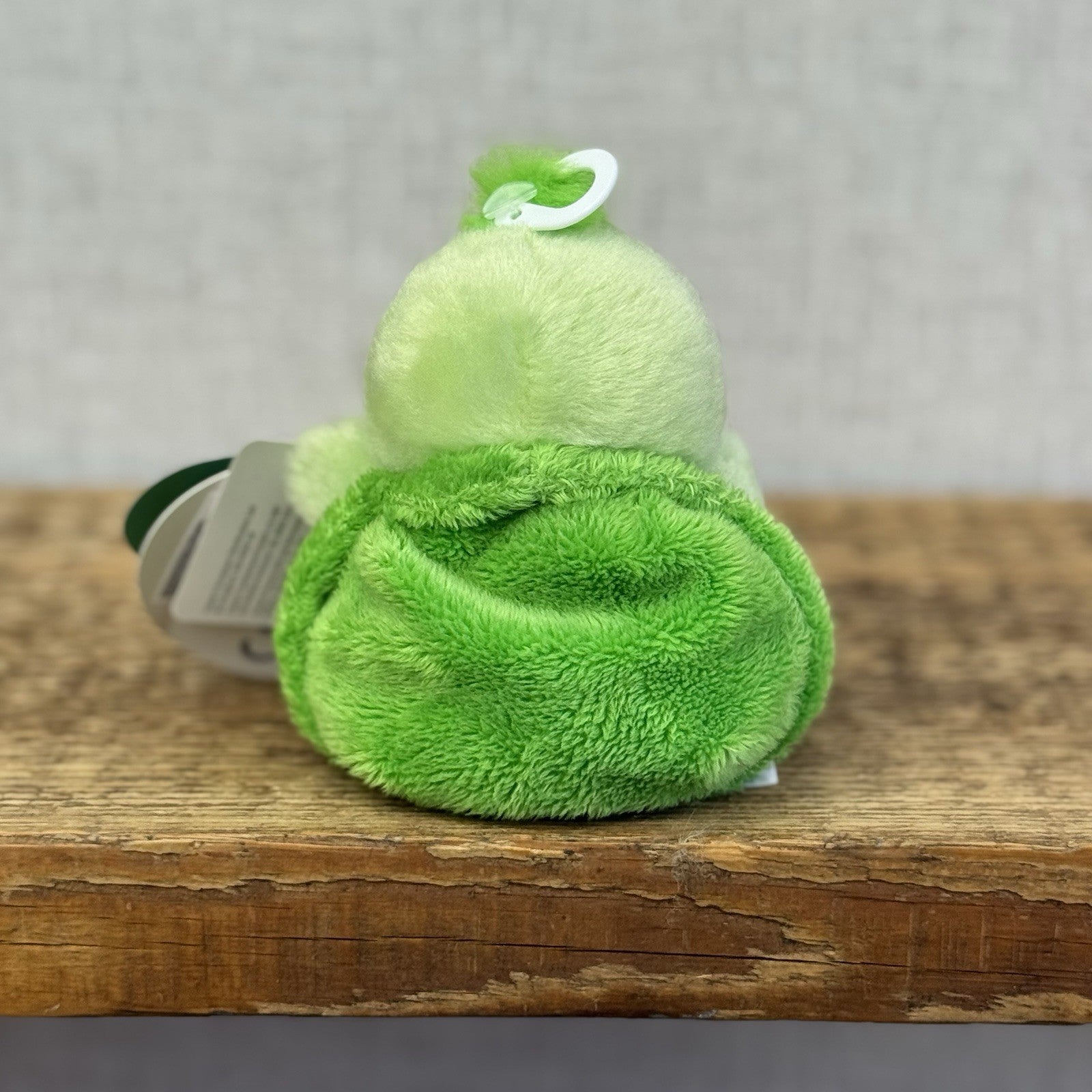 Aurora - Palm Pals Mini Beanbag Plush Tiny Turtle BNWT 5"
