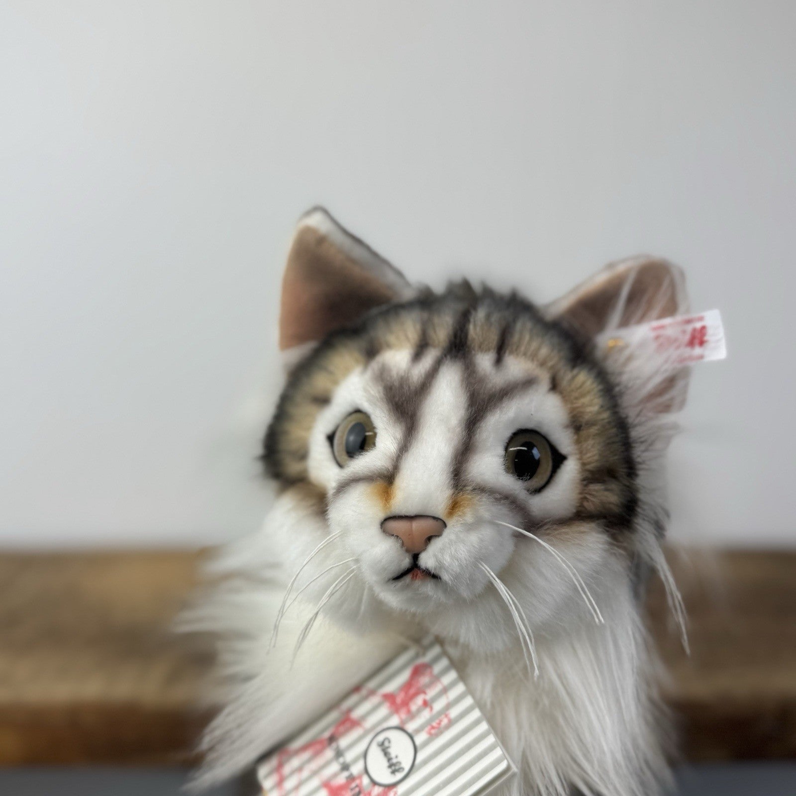 Steiff - Lesley Anne Ivory's Agneatha Cat Limited Edition RARE (EAN 690716) 2019