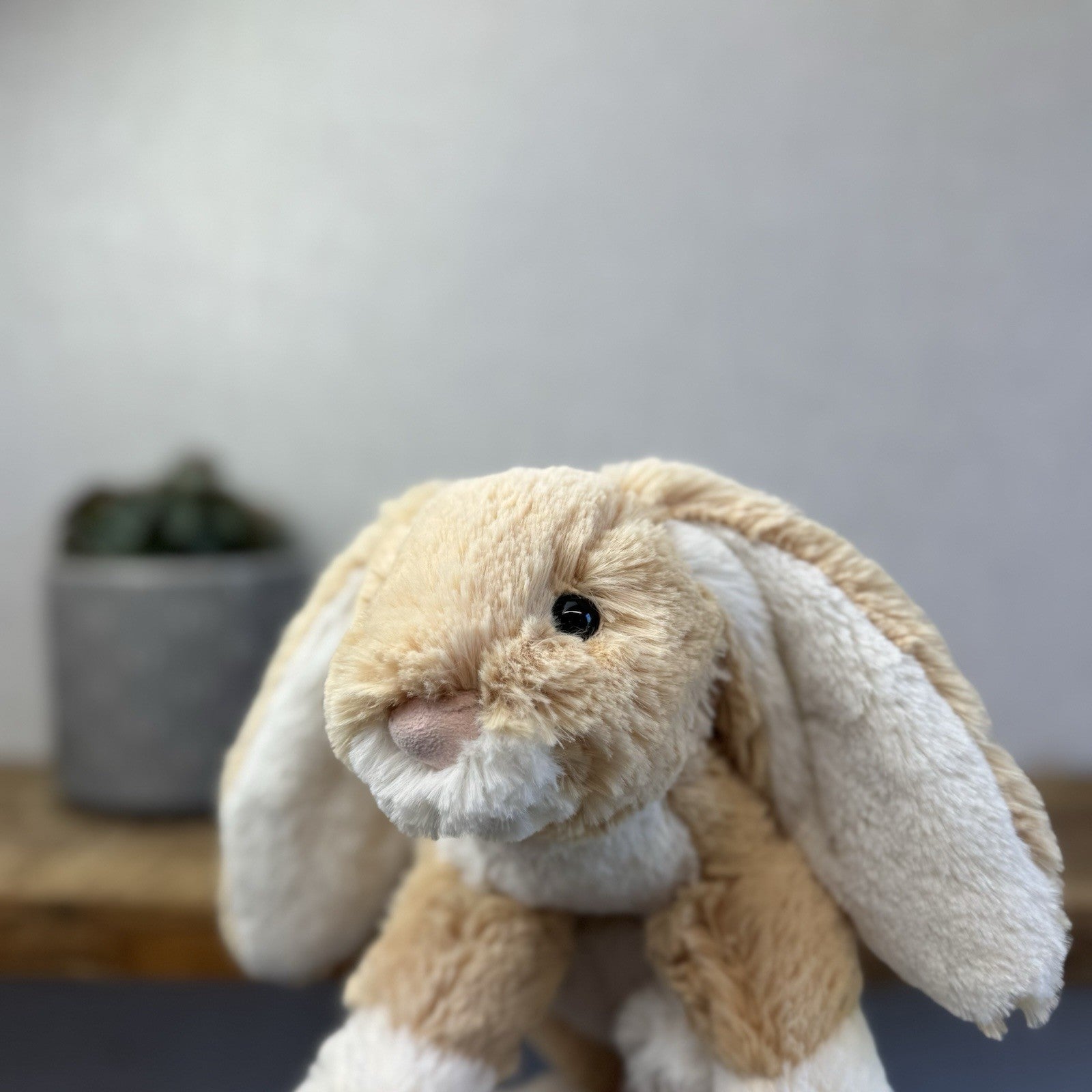 Jellycat Loppy Oatmeal Bunny - John Lewis Exclusive New With Tags Medium 12"
