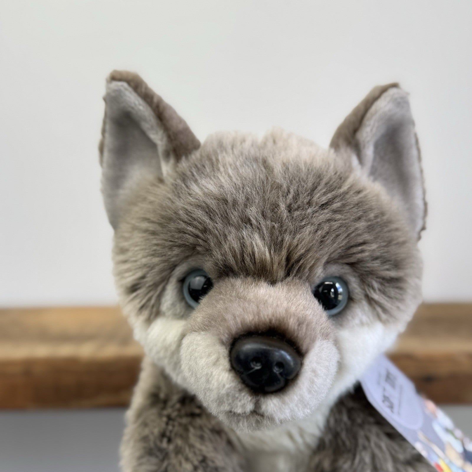 BBC Earth Husky Wolf Soft Toy Plush Posh Paws 2008 - Retired Beanie Realistic