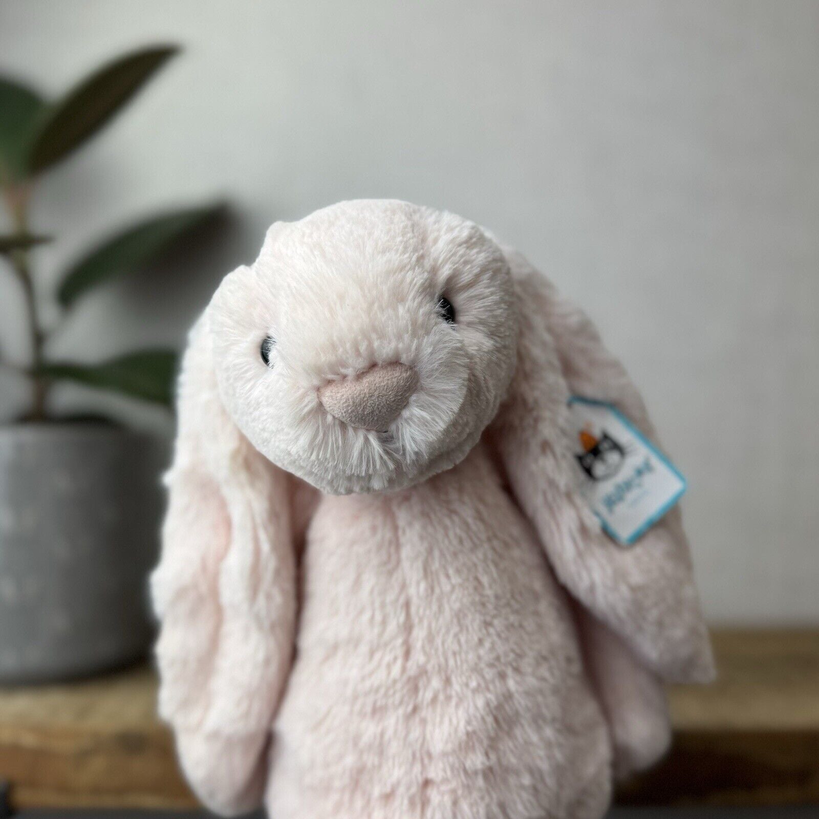 Jellycat Medium Bashful Light Baby Pink Bunny - Baby Pink Bunny Soft Toy 12” NWT