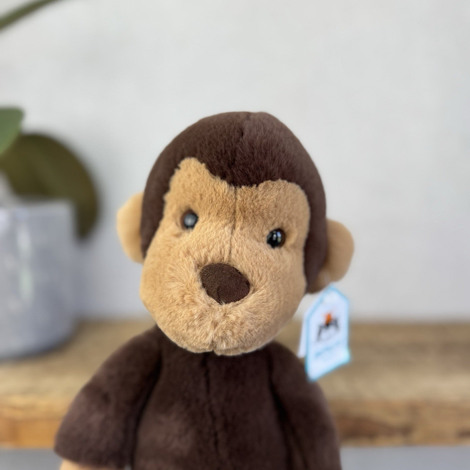 Jellycat Wumper Monkey - New With Tags Deep Brown Monkey Soft Beanie Retired 12”