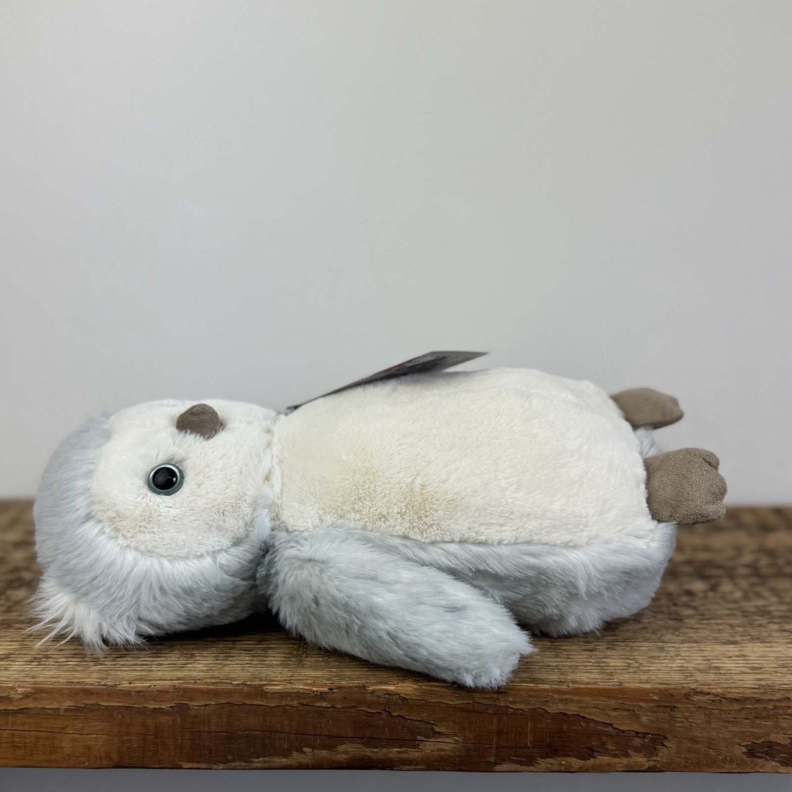 Jellycat Bashful Owl Chick - Birch Grey Colouring Owl Soft Toy Medium 9" (#2)