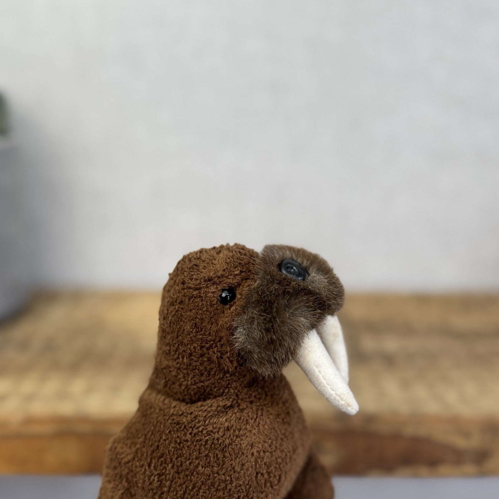 Russ Berrie Luv Pets - Wilcox Walrus Pocket Size Walrus Beanie Baby Mini Plush