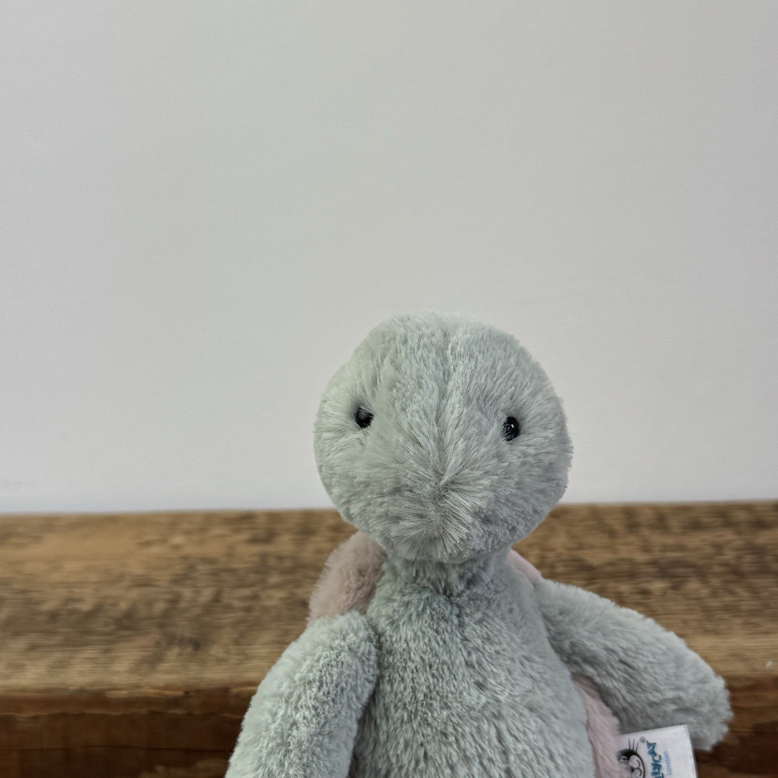 Jellycat Small Bashful Turtle - Small Green Turtle Soft Toy Retired 6" 