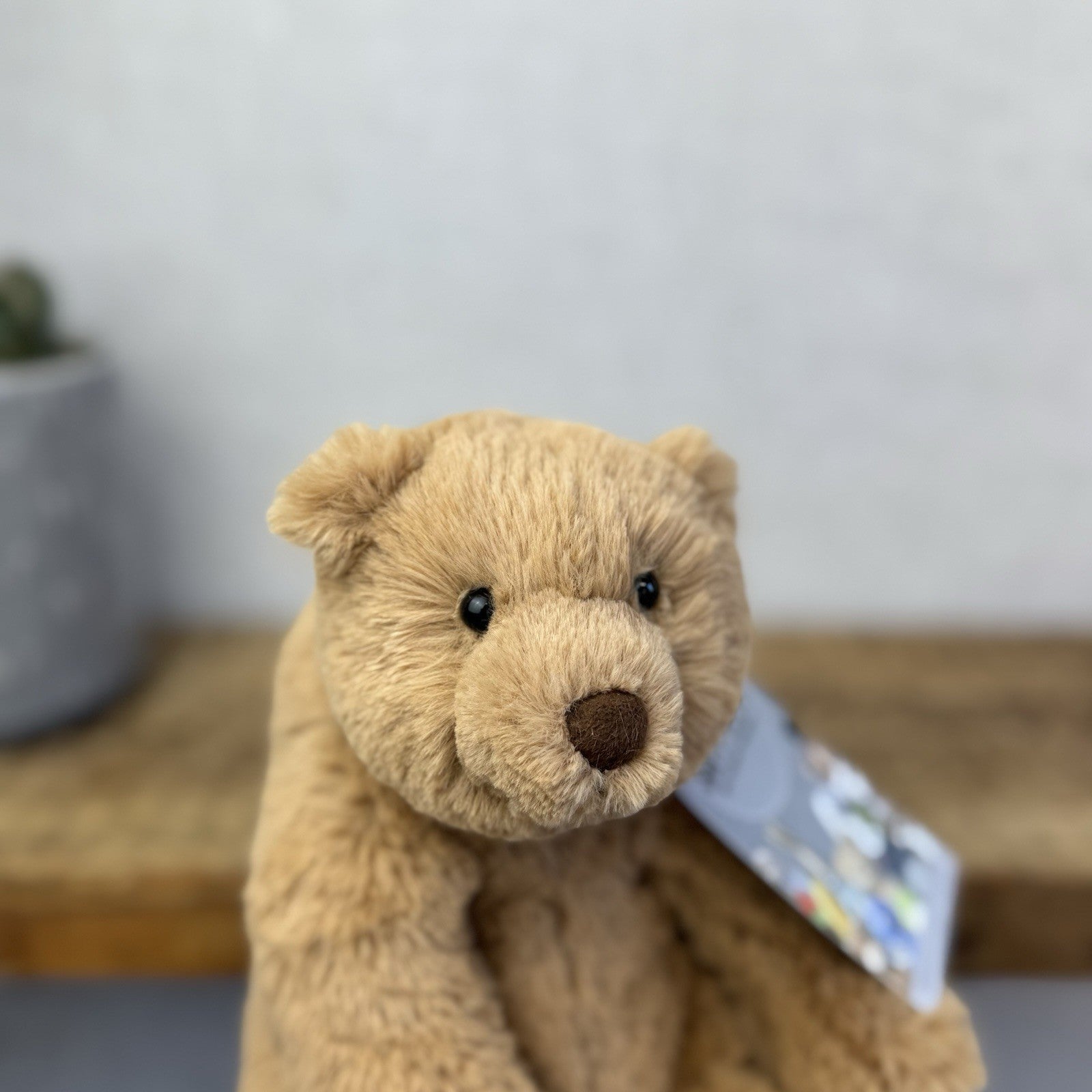 Jellycat Small Cecil Bear - Small Sitting Brown Bear Beanie Plush Retired 8"