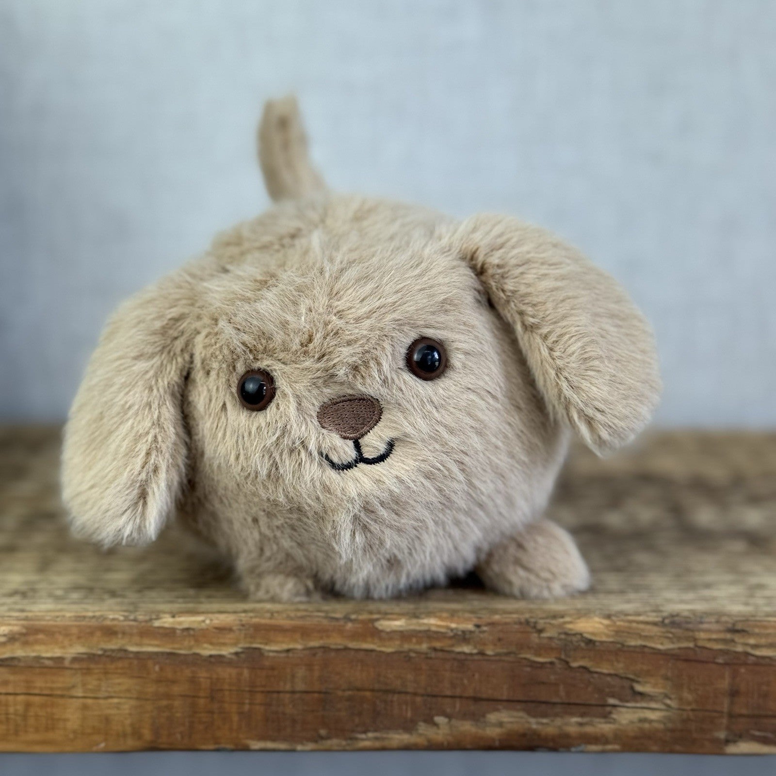 Jellycat Caboodle Puppy Dog Beige Plush Soft Toy - Small Pup Soft Toy 5”