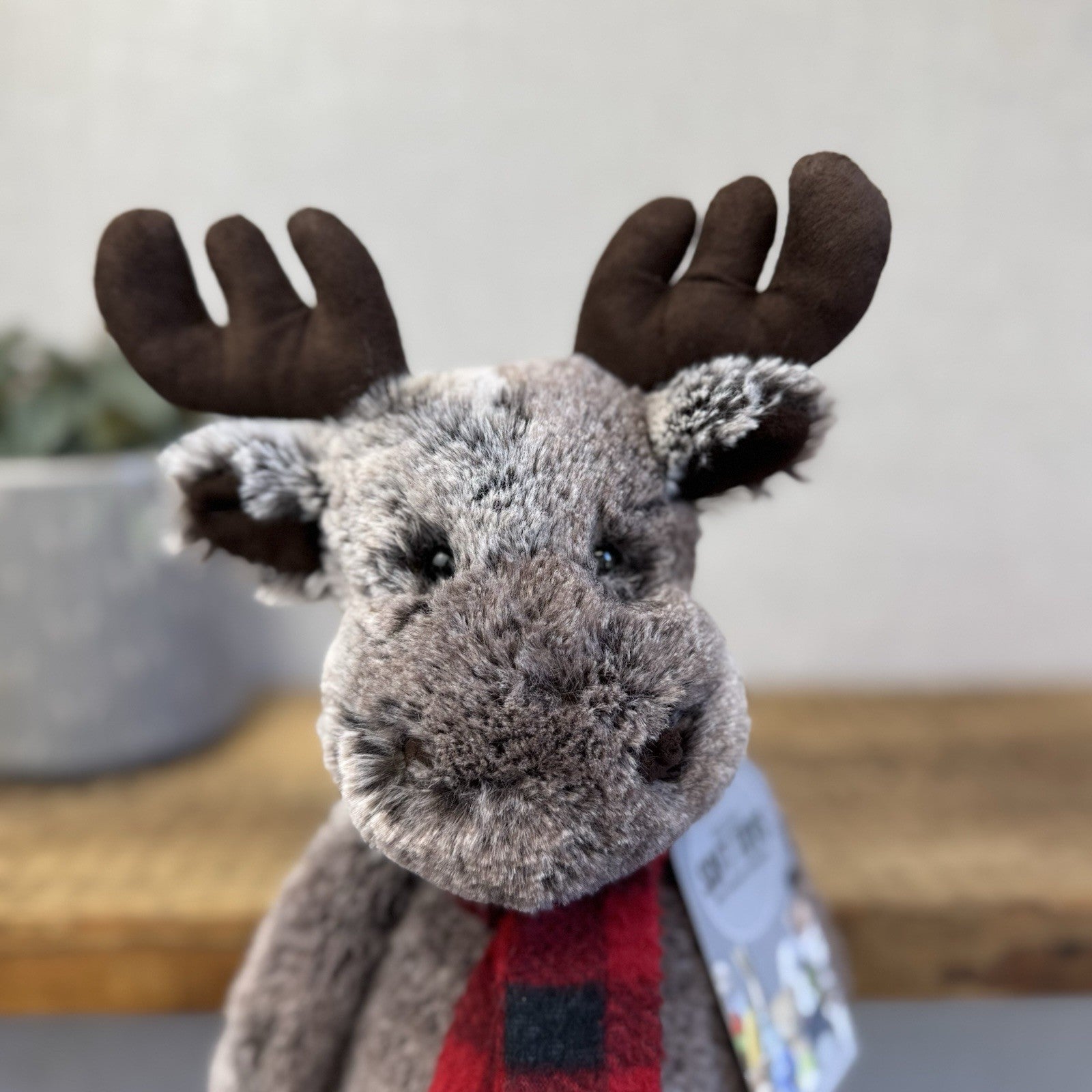 Jellycat Medium Bashful Moose With Scarf - Check Red/Black Scarf Woodland Moose