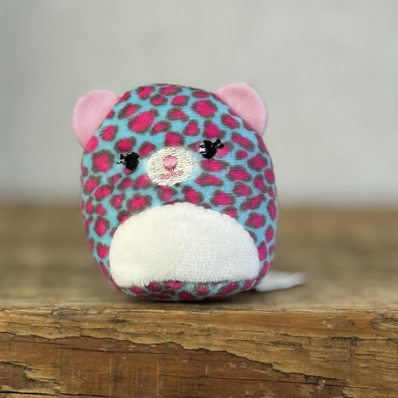Squishmallow Squishville - Chelsea The Cheetah - Leopard Pink/Blue Mini 2"