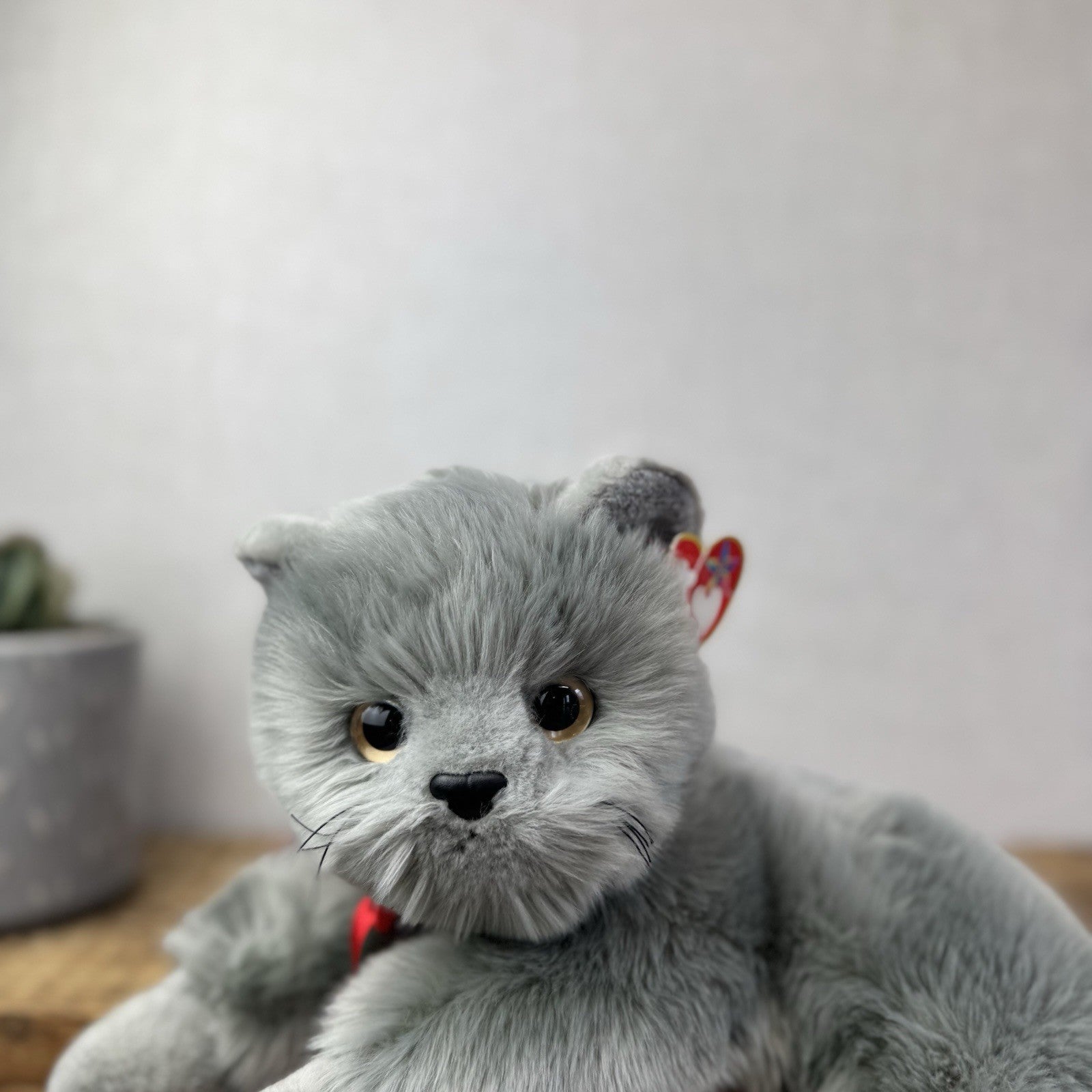 TY Beanie Buddy - BEANI Grey Fluffy Cat (Paper Tag Damaged) Amazing Rare 11"
