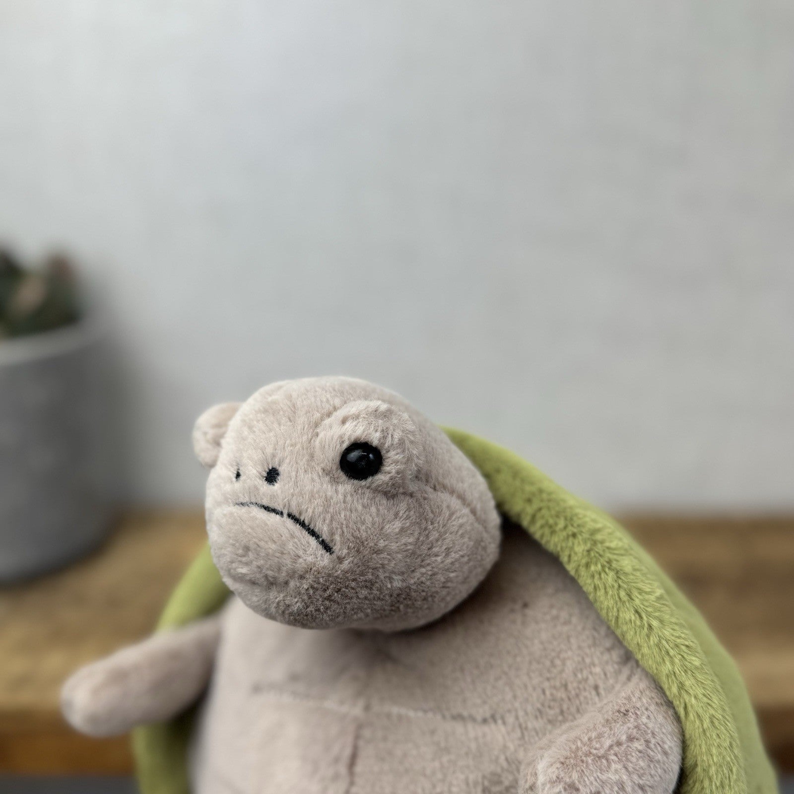 Jellycat Timmy Turtle - Grumpy Turtle Soft Toy (With Tags) Beanie Turtle 12"