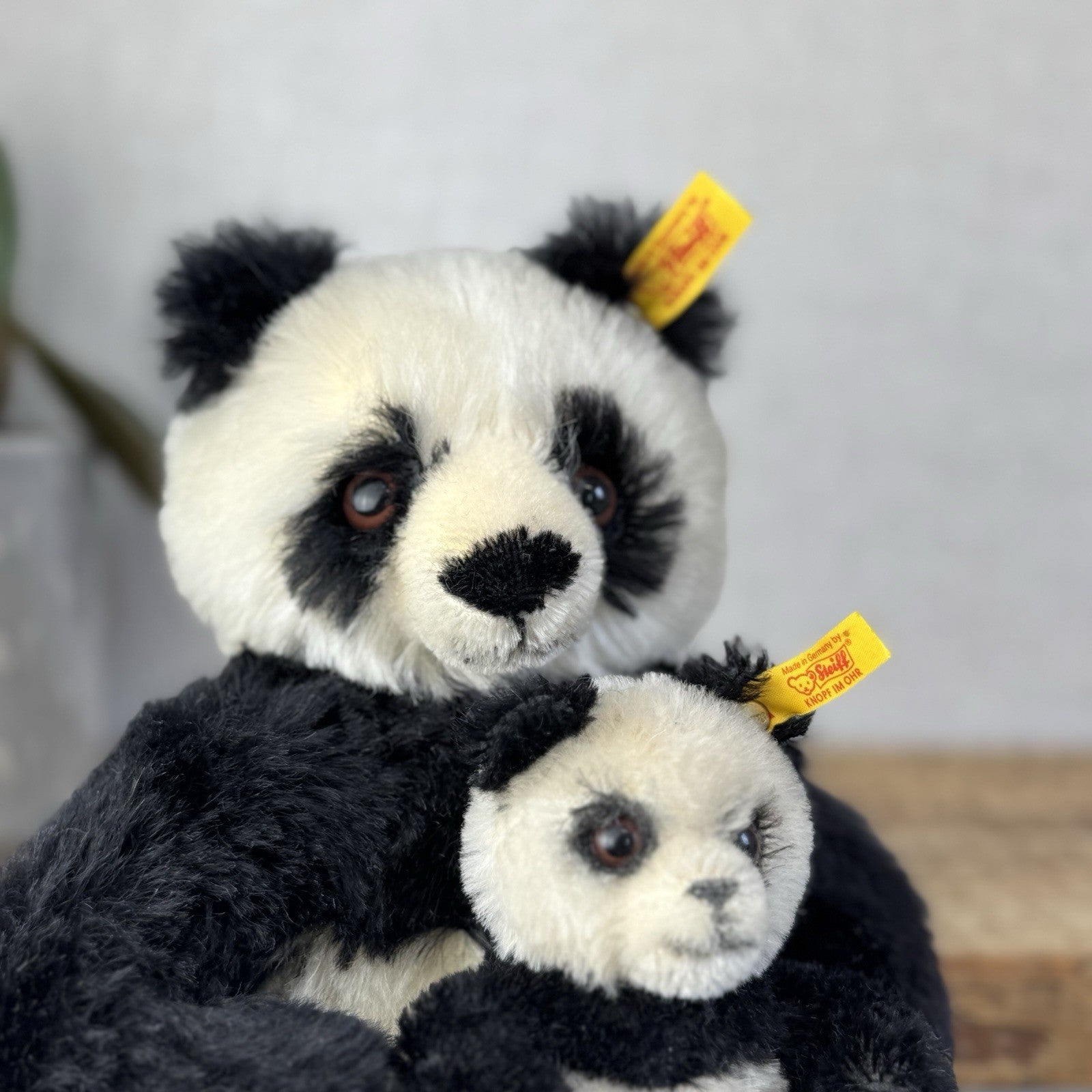 Steiff Vintage Panda Bear & Baby - Mohair Panda Rare Small 660818 Collector Item