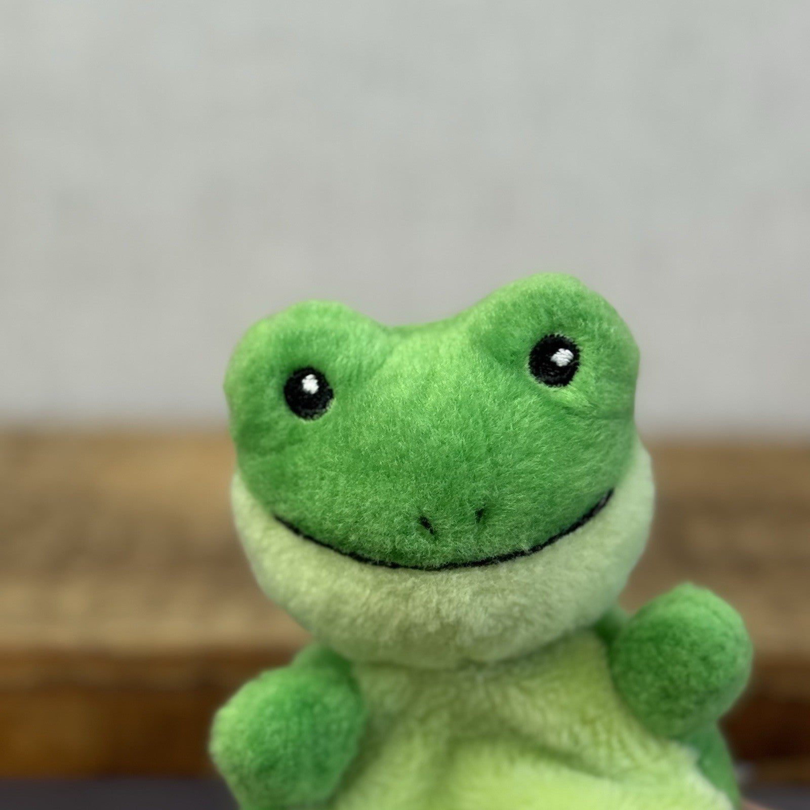 Aurora - Palm Pals Mini Beanbag Plush - Mini Frog Ribbit Plush Beanbag Plush