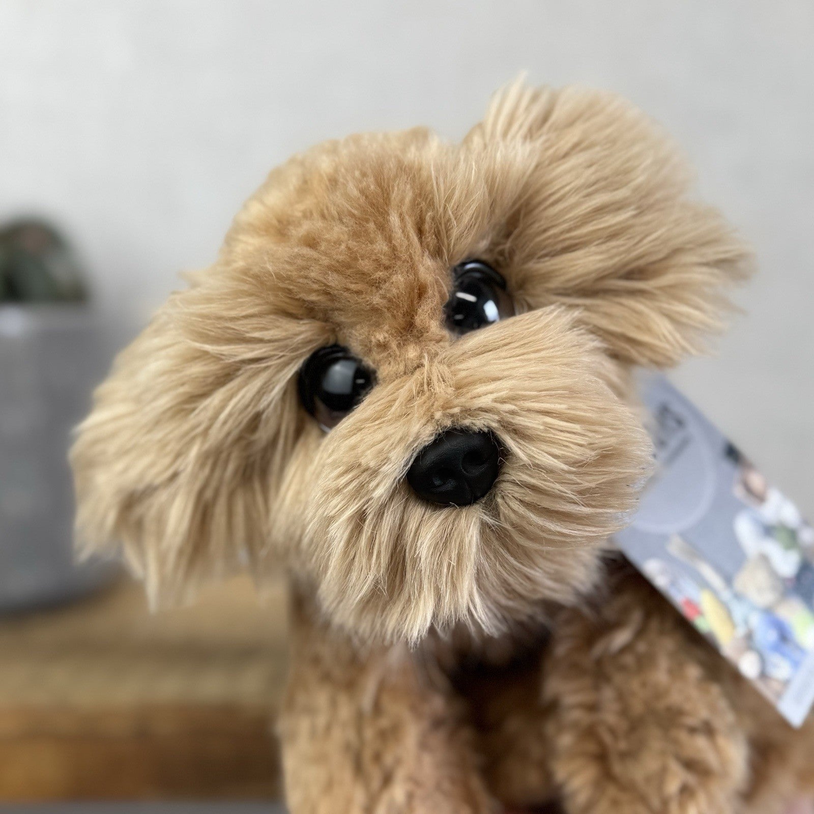 Keel Toys Wheaten Terrier Soft Toy - Big Eyed Fluffy  Dog Soft Toy Pulush 8"