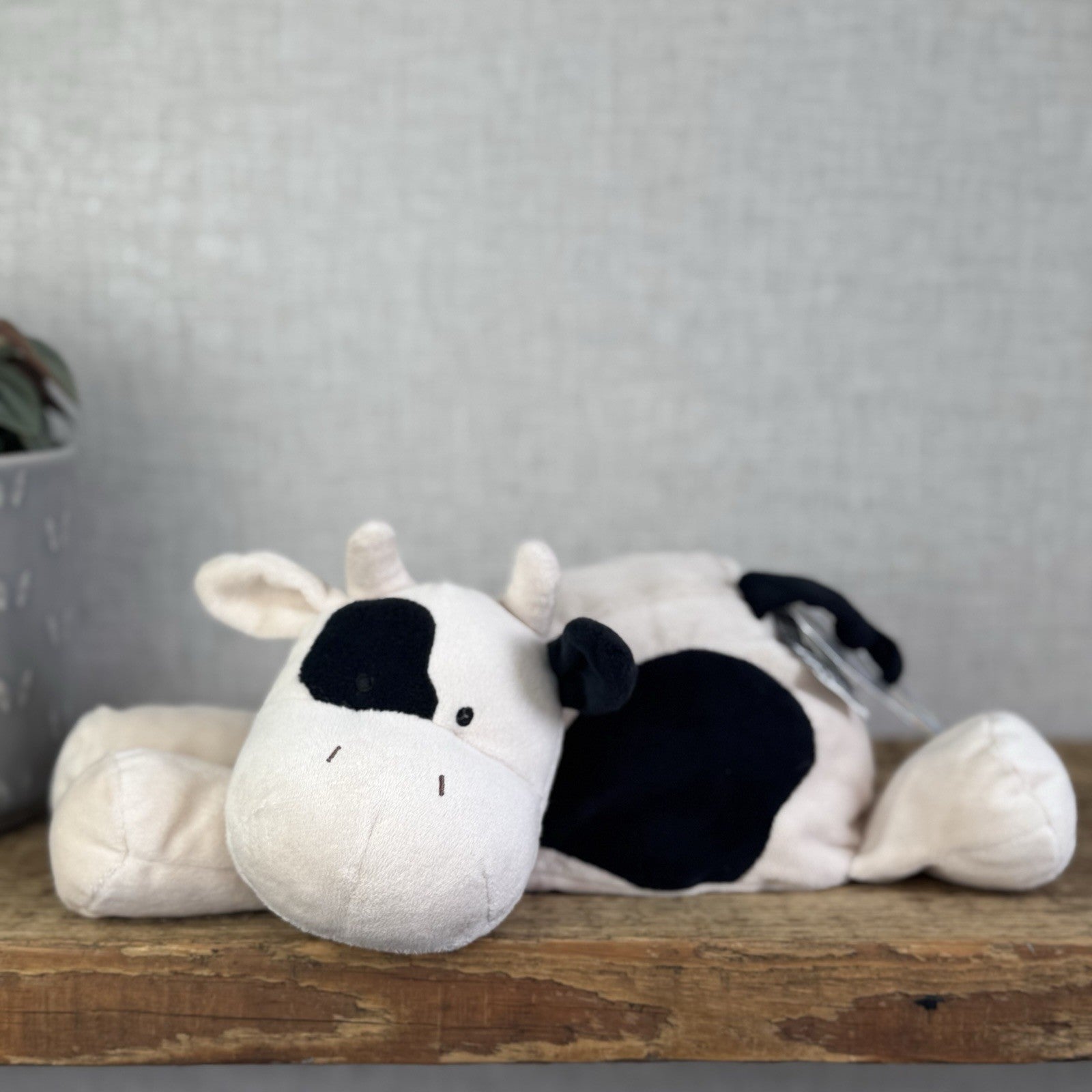 Jellycat Dozy Dou Cow - Floppy Beanie Cow Plush Retired Cream/Black 12"