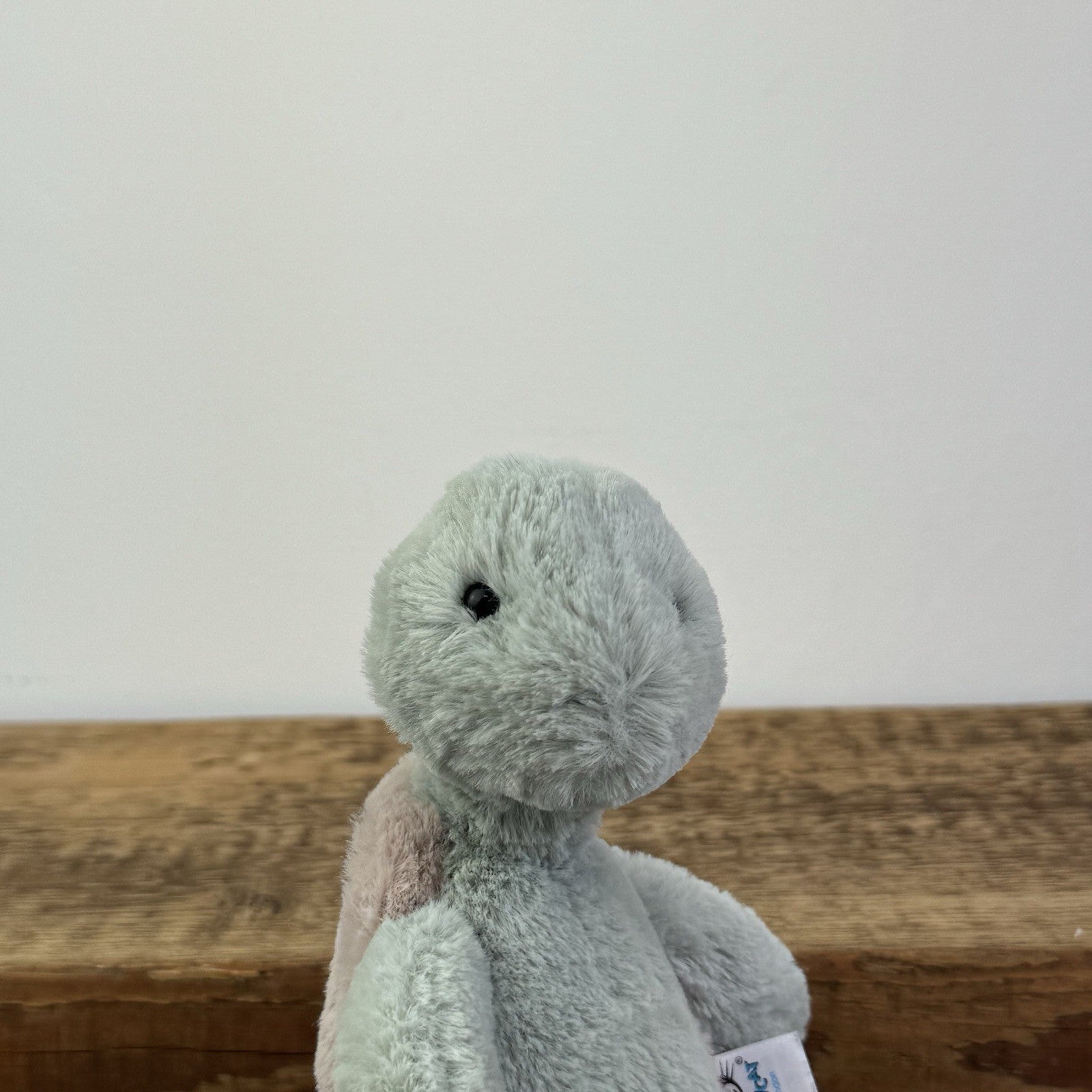 Jellycat Small Bashful Turtle - Small Green Turtle Soft Toy Retired 6" 
