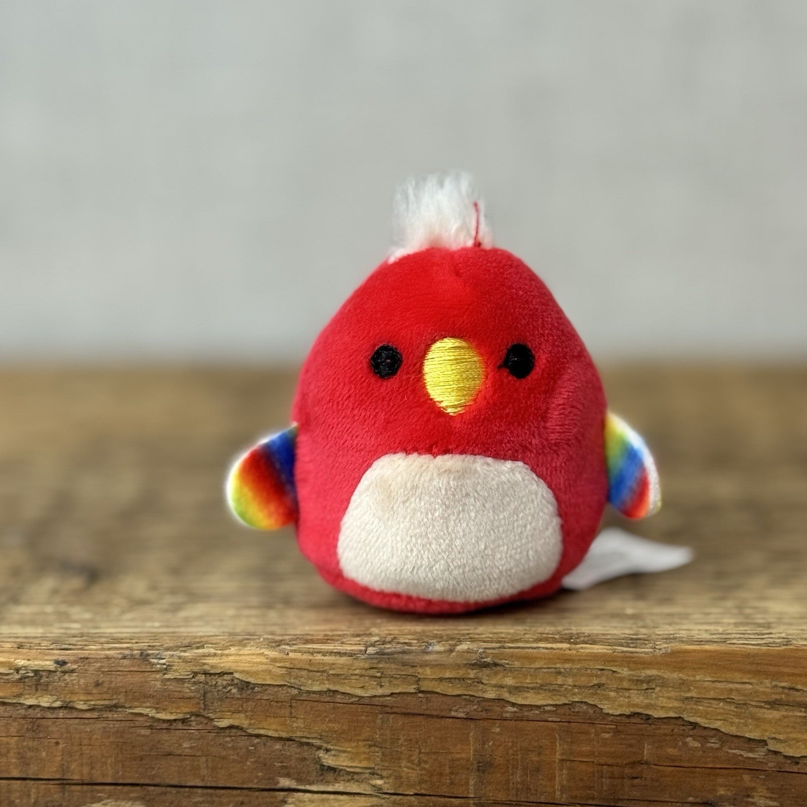 Squishmallow Squishville -Paco Red Parrot Wild Bird Mini (Multi Buy Discount)