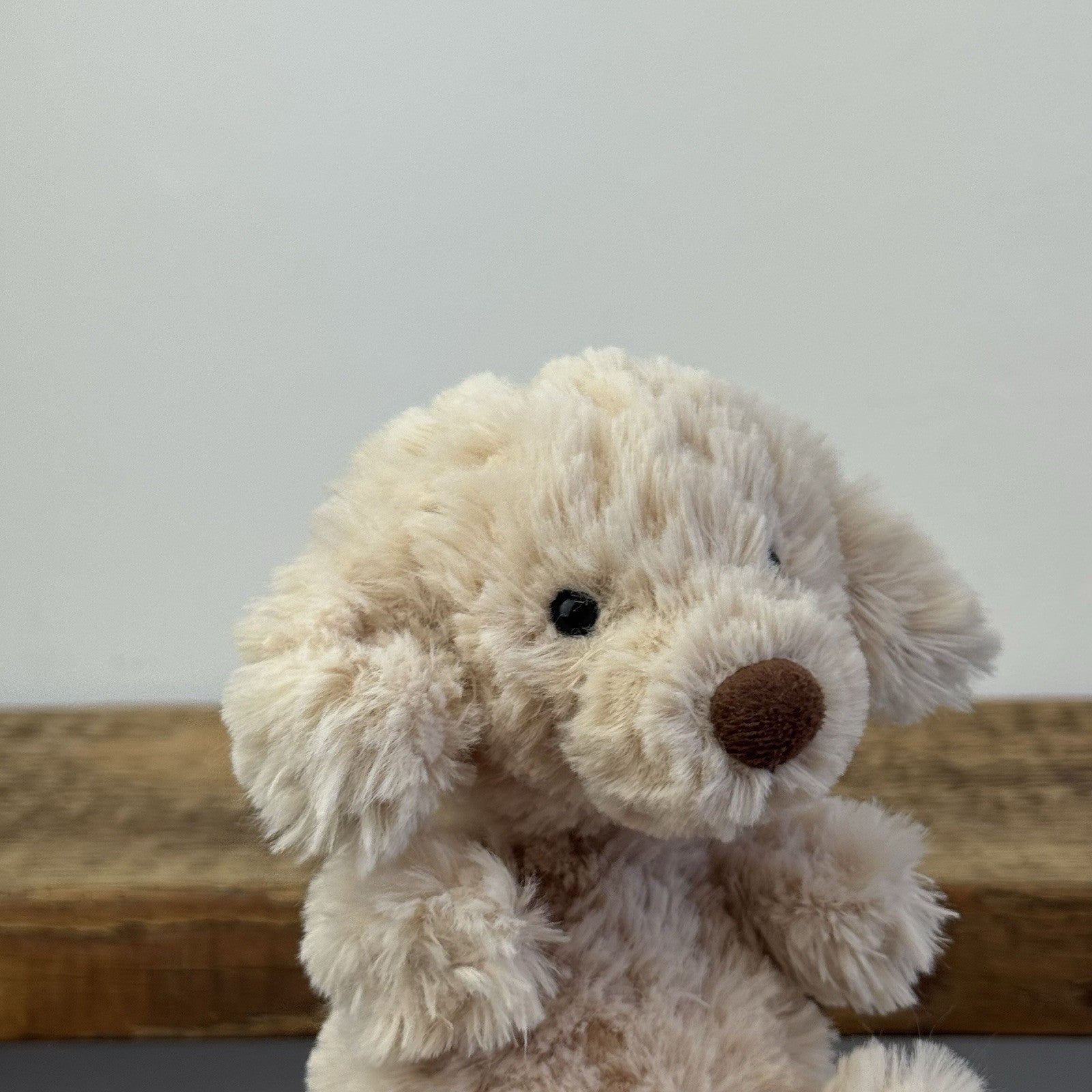 Jellycat Yummy Puppy - First Release - Golden Tiny Beanie Dog Rare 6"
