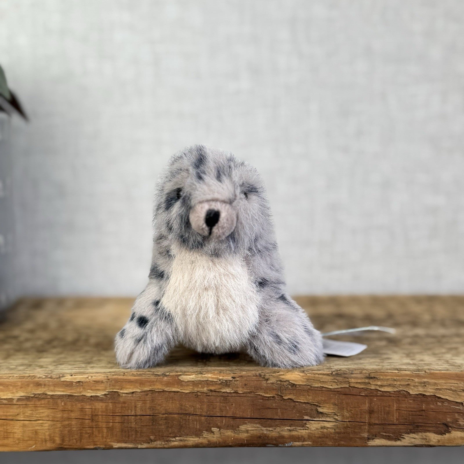 Jellycat Nauticool Spotty Seal - Mini Fluffy Grey Spotty Seal Beanie Plush Tags