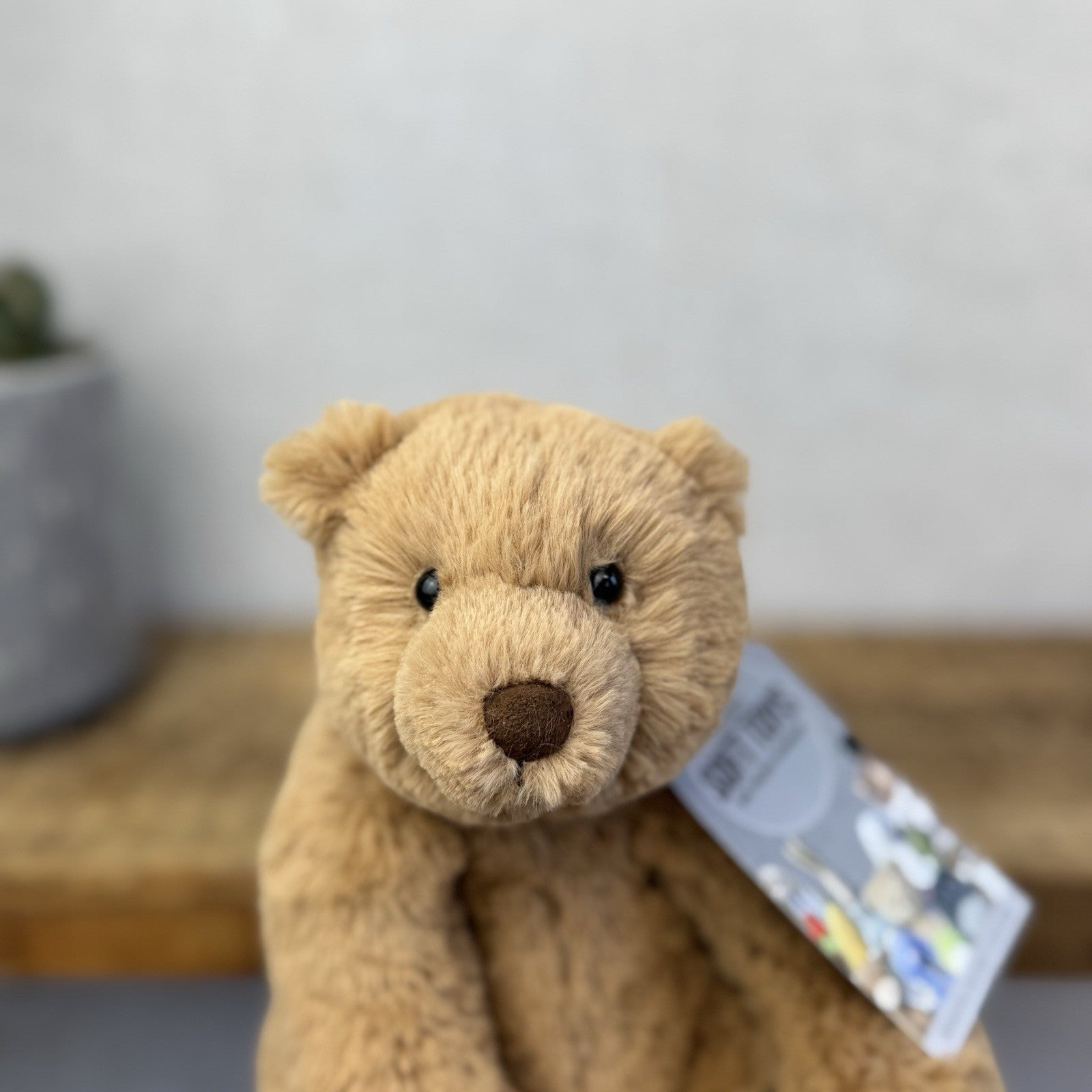 Jellycat Small Cecil Bear - Small Sitting Brown Bear Beanie Plush Retired 8"