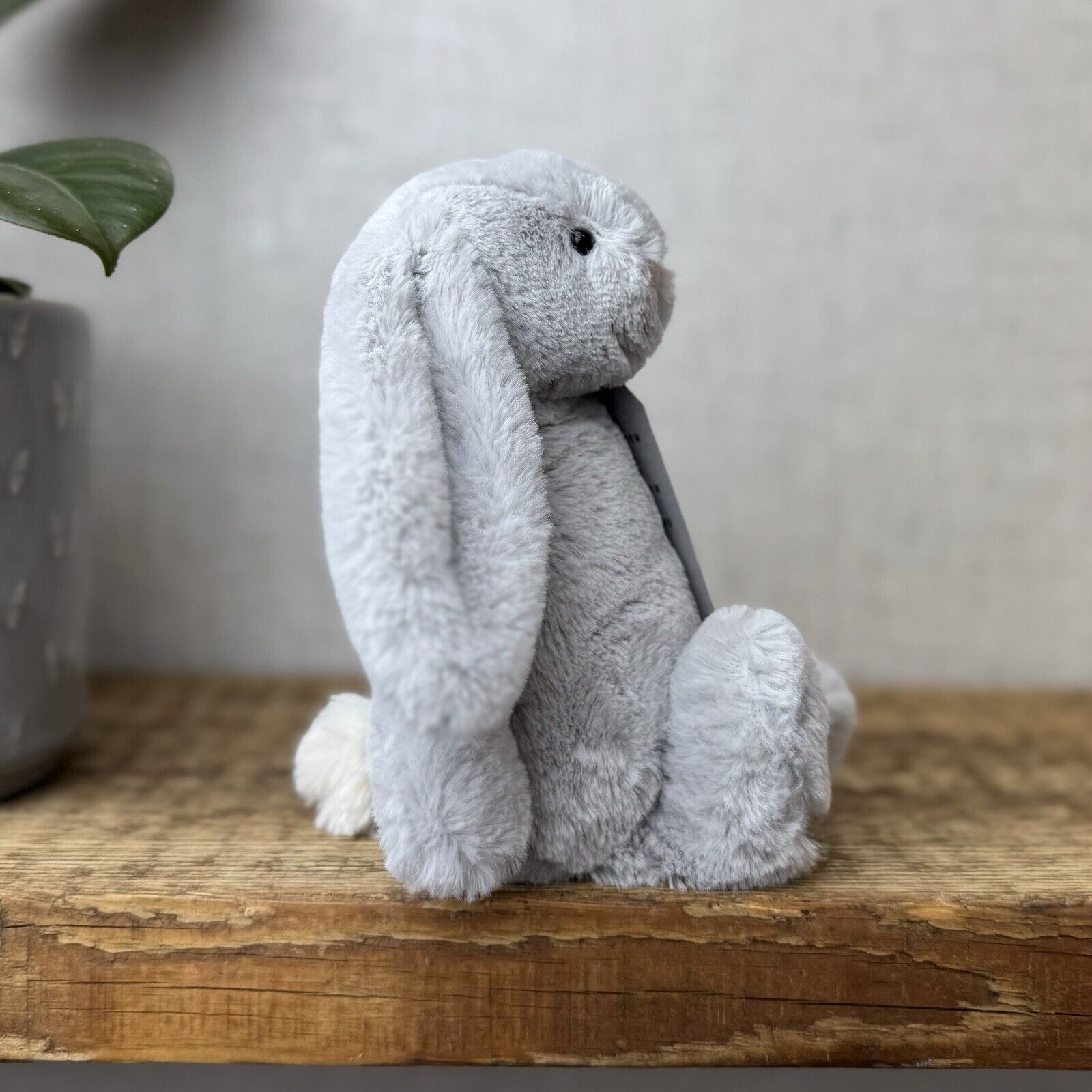 Jellycat Small Bashful Bunny Grey - Small Bunny White Tail Beanie NWOT 8”