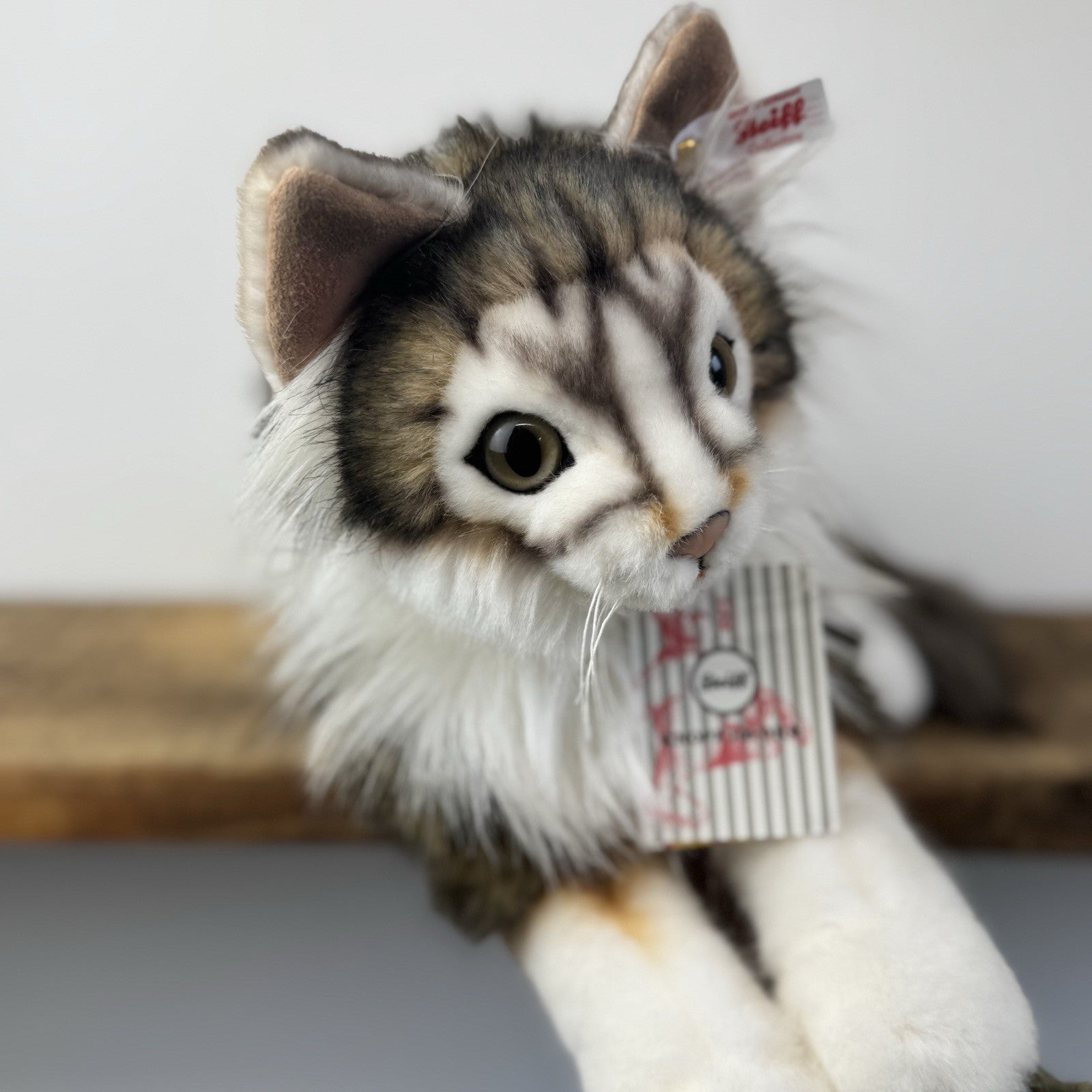 Steiff - Lesley Anne Ivory's Agneatha Cat Limited Edition RARE (EAN 690716) 2019