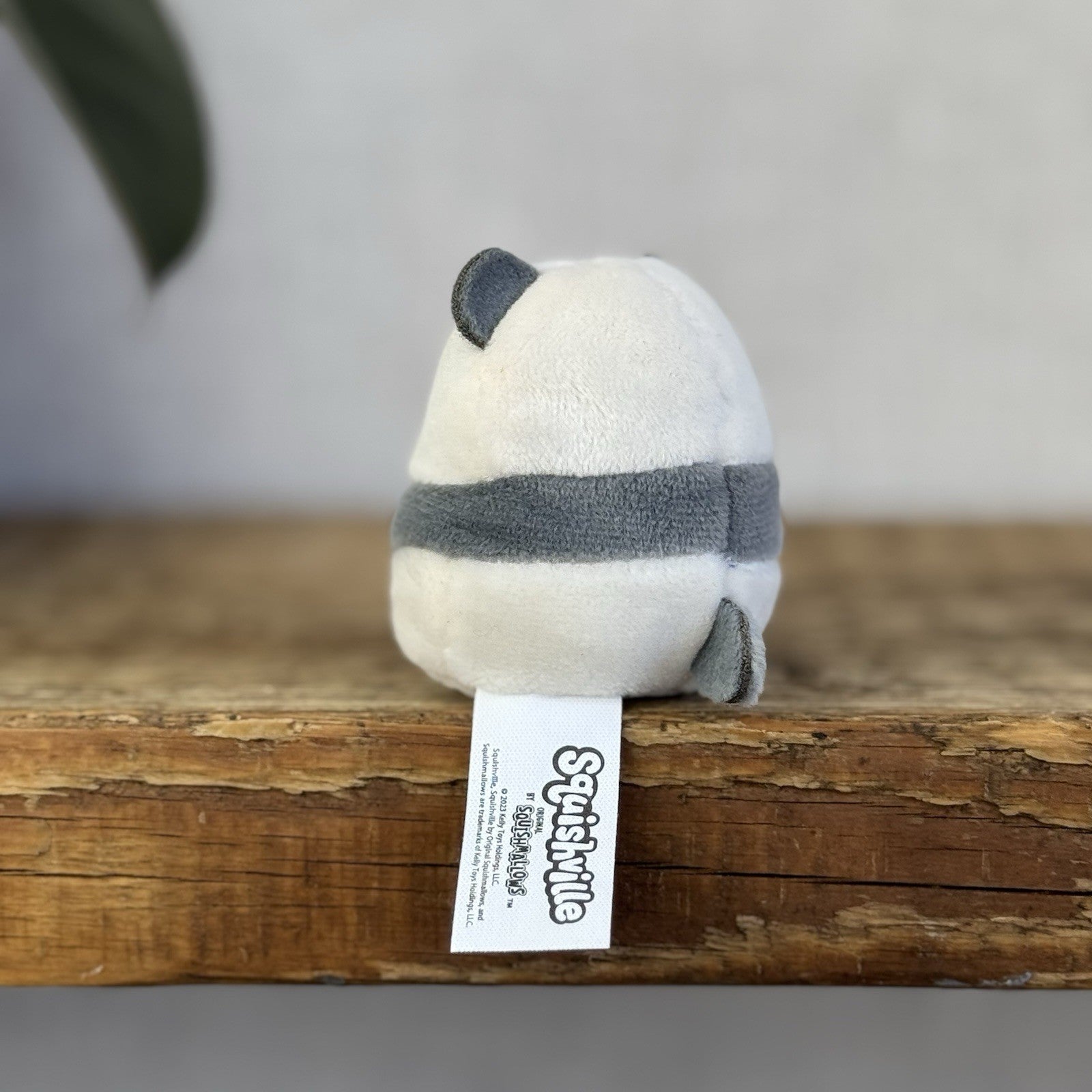 Squishmallow Squishville - PJ Grey Panda Tiny Grey Panda Squishmallow 2” NWOT