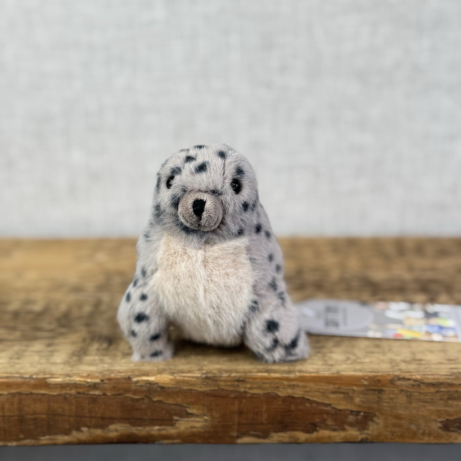 Jellycat Nauticool Spotty Seal - Tiny Fluffy Grey Seal Soft Beanie Pocket Pal