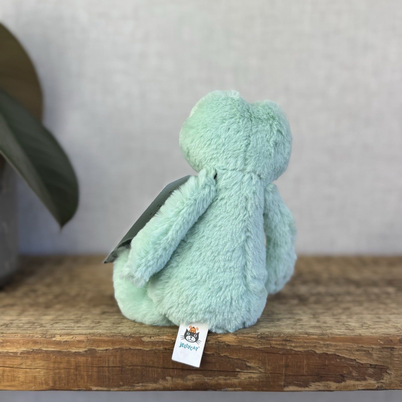 Jellycat Small Bashful Mint Green Frog Soft Beanie Plush Rare And Retired 8”