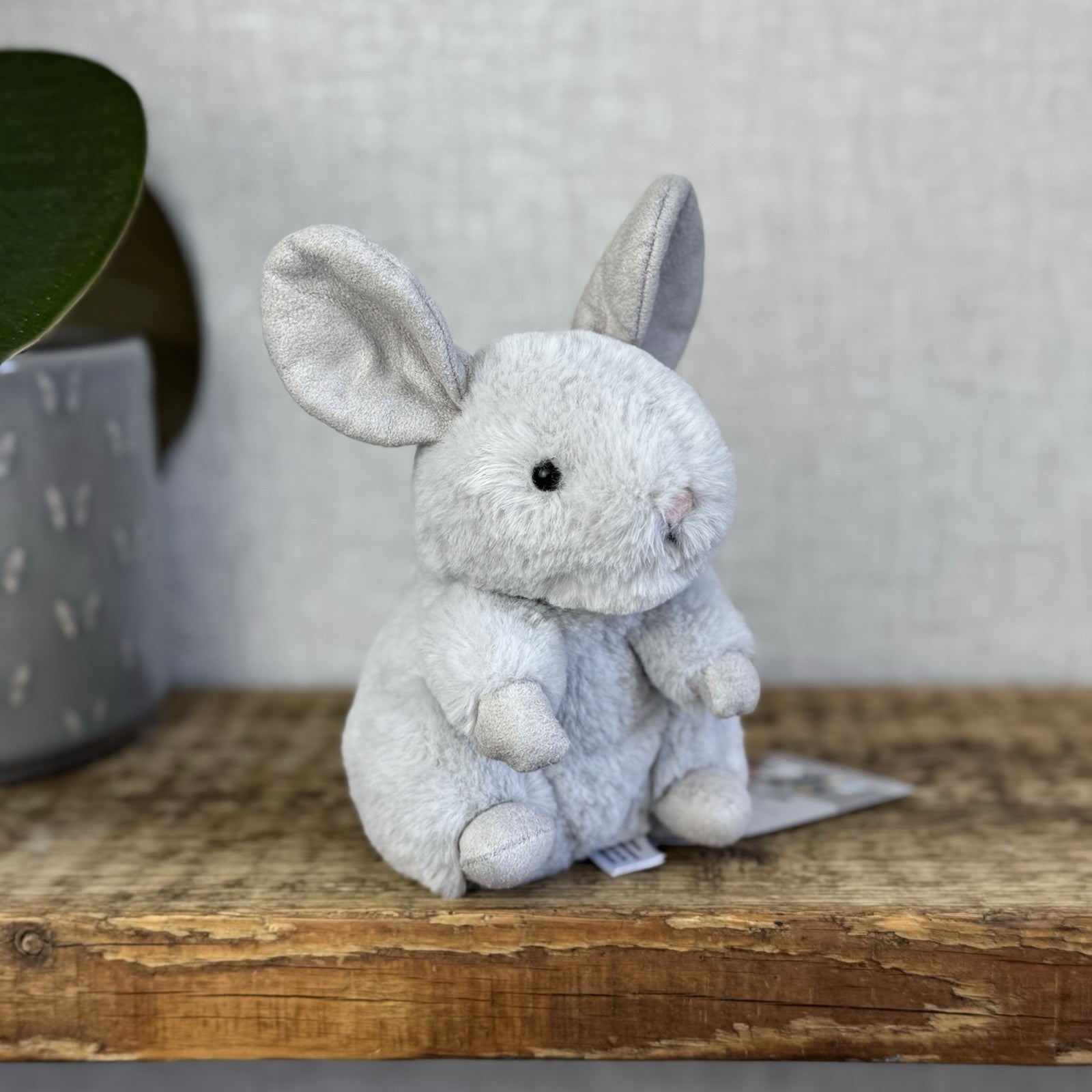 Jellycat Misty Chinchilla - Small Grey/Silver Beanie Chinchilla Pocket Pal 6"