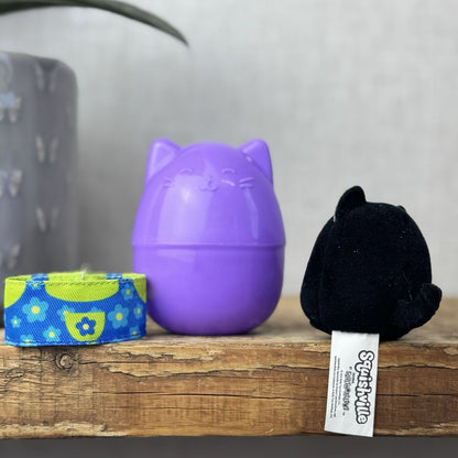 Squishmallow Squishville - Ibina The Black Cat With Capsule & Accessory 2” Tiny