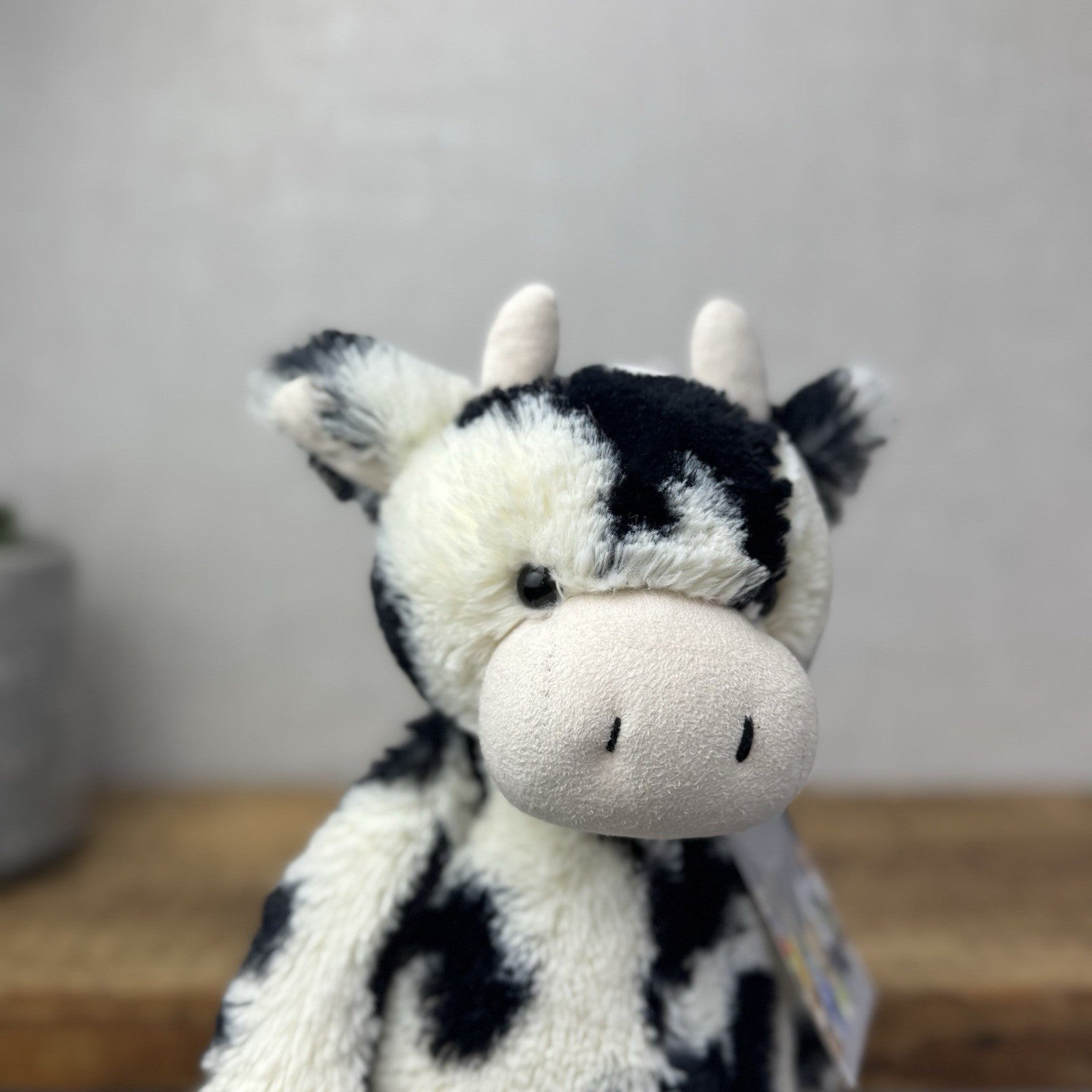 Jellycat Medium Bashful Cow Calf - Beanie Cow Spotty Black White Farm Plush 12"