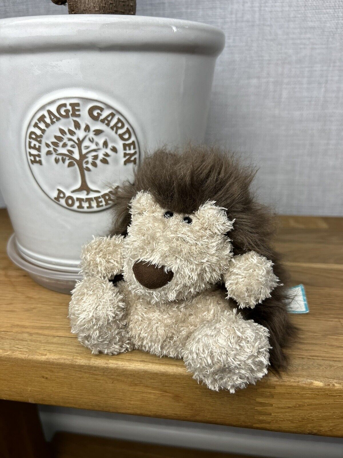 Jellycat Pudding Hedgehog - With Tags