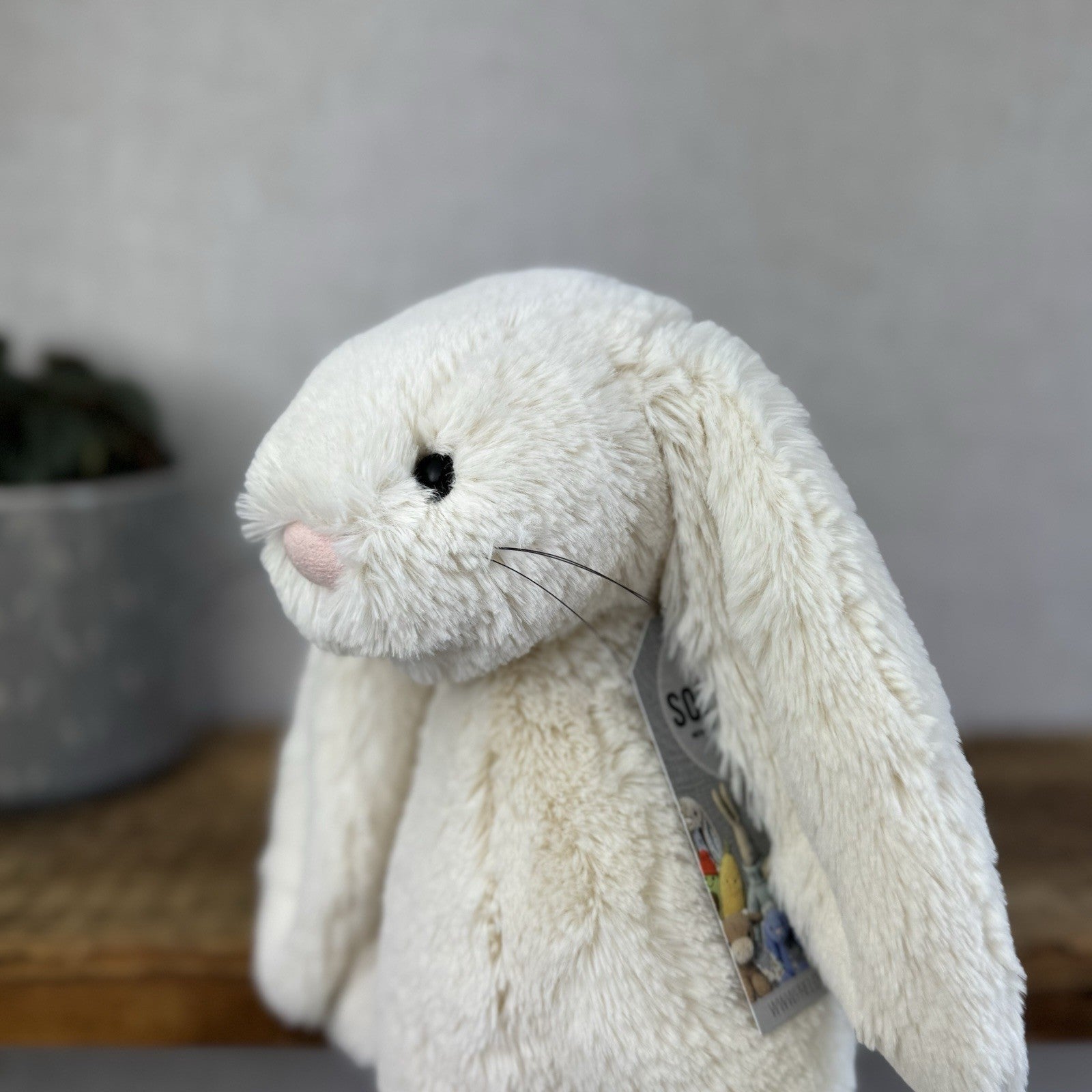 Jellycat Medium Cream Bashful Rabbit - Old Bashful With Whiskers Rare 12”