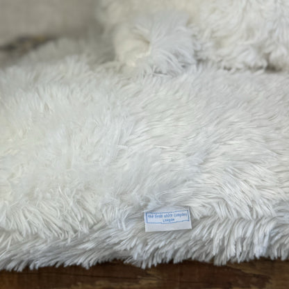 Huge Truffles White Cat - Little White Company/Jellycat Collab Large Cushion Cat
