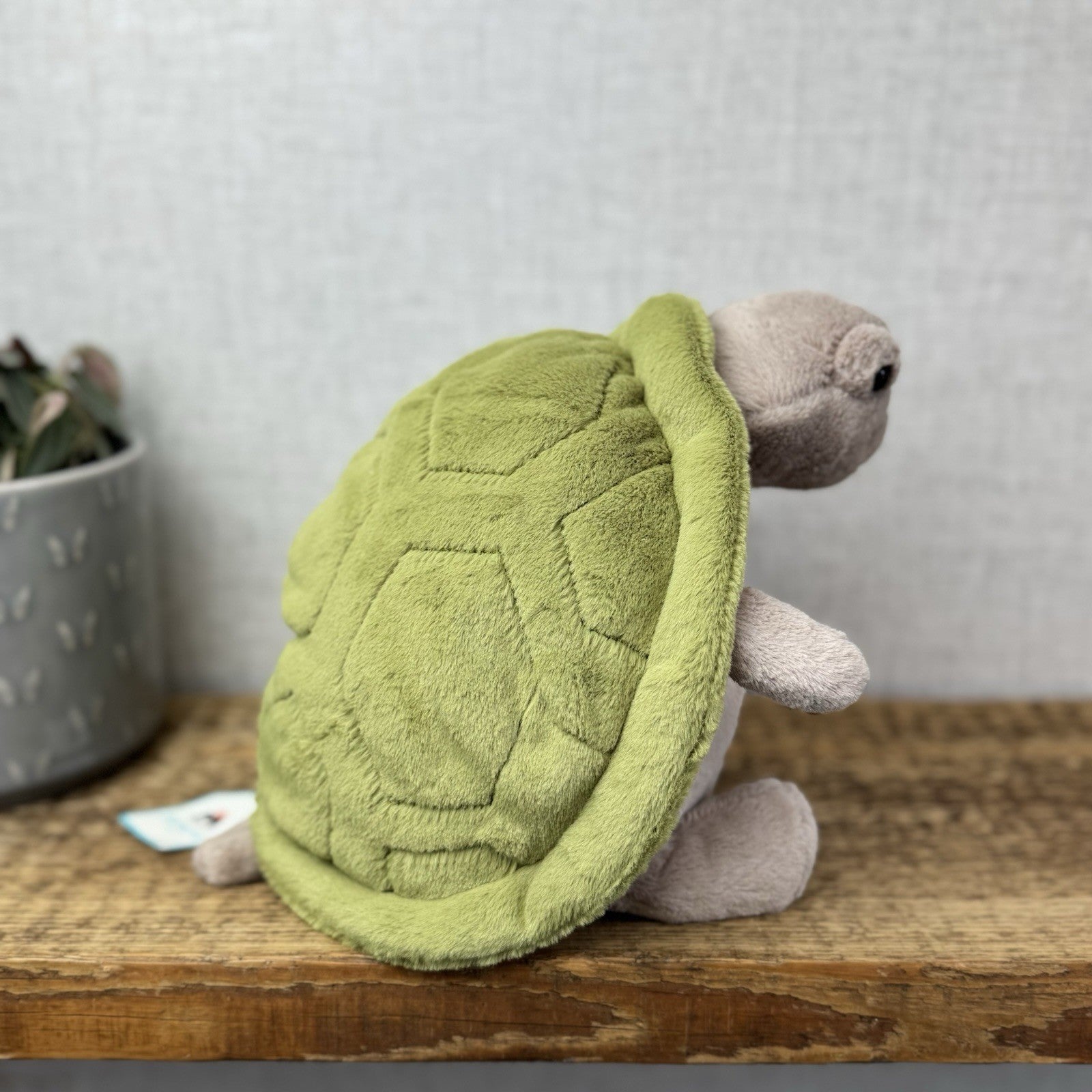 Jellycat Timmy Turtle - Grumpy Turtle Soft Toy (With Tags) Beanie Turtle 12"
