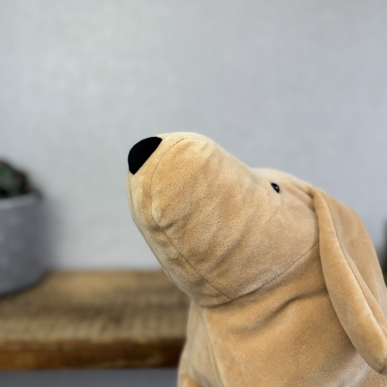 Jellycat Large Mellow Mallow Dog - Beige/Sand Squishy Dog Soft Beanie Toy 12"