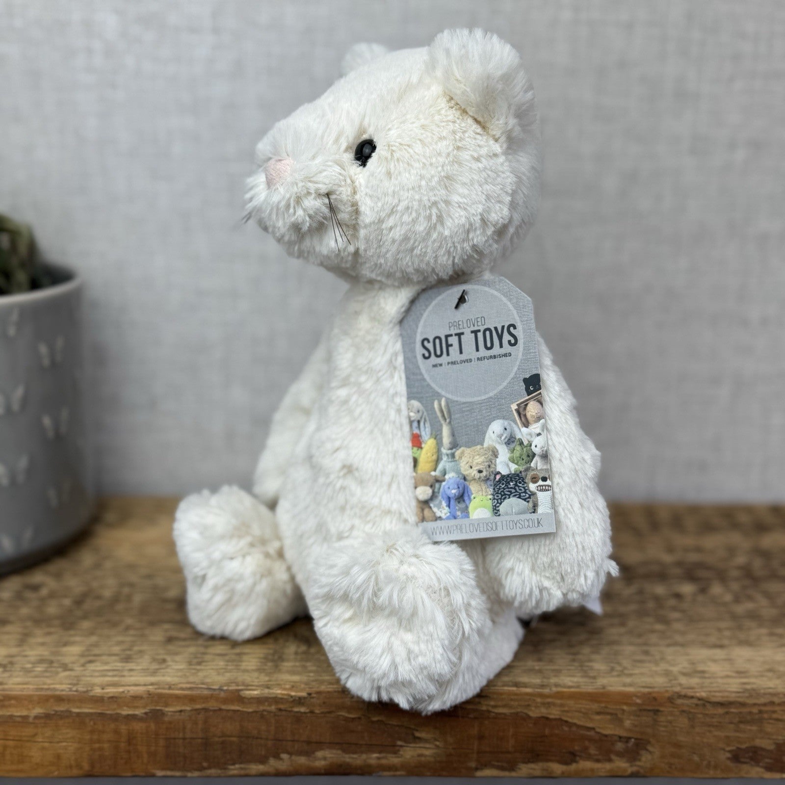 Jellycat Medium Bashful Cream Cat Kitten - Cream Cat With Whiskers Retired 12”