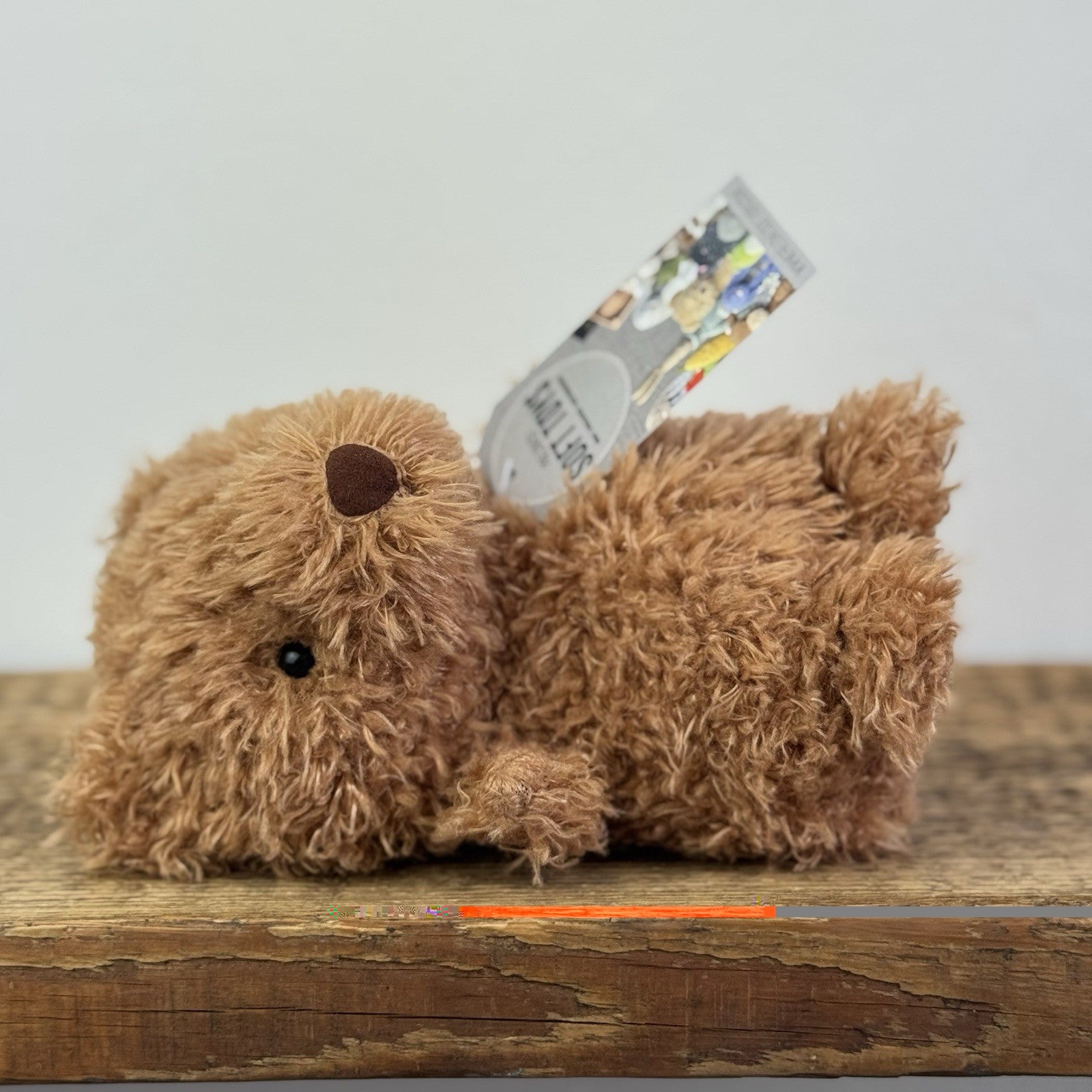 Jellycat Little Bear - Retired Brown Bear Curly Hair Beanie Soft Toy 7" 
