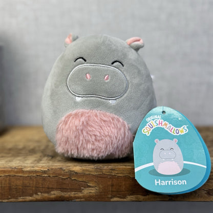 Squishmallow 5" Harrison Hippo Small Plush Squish New With Tags Grey/pink