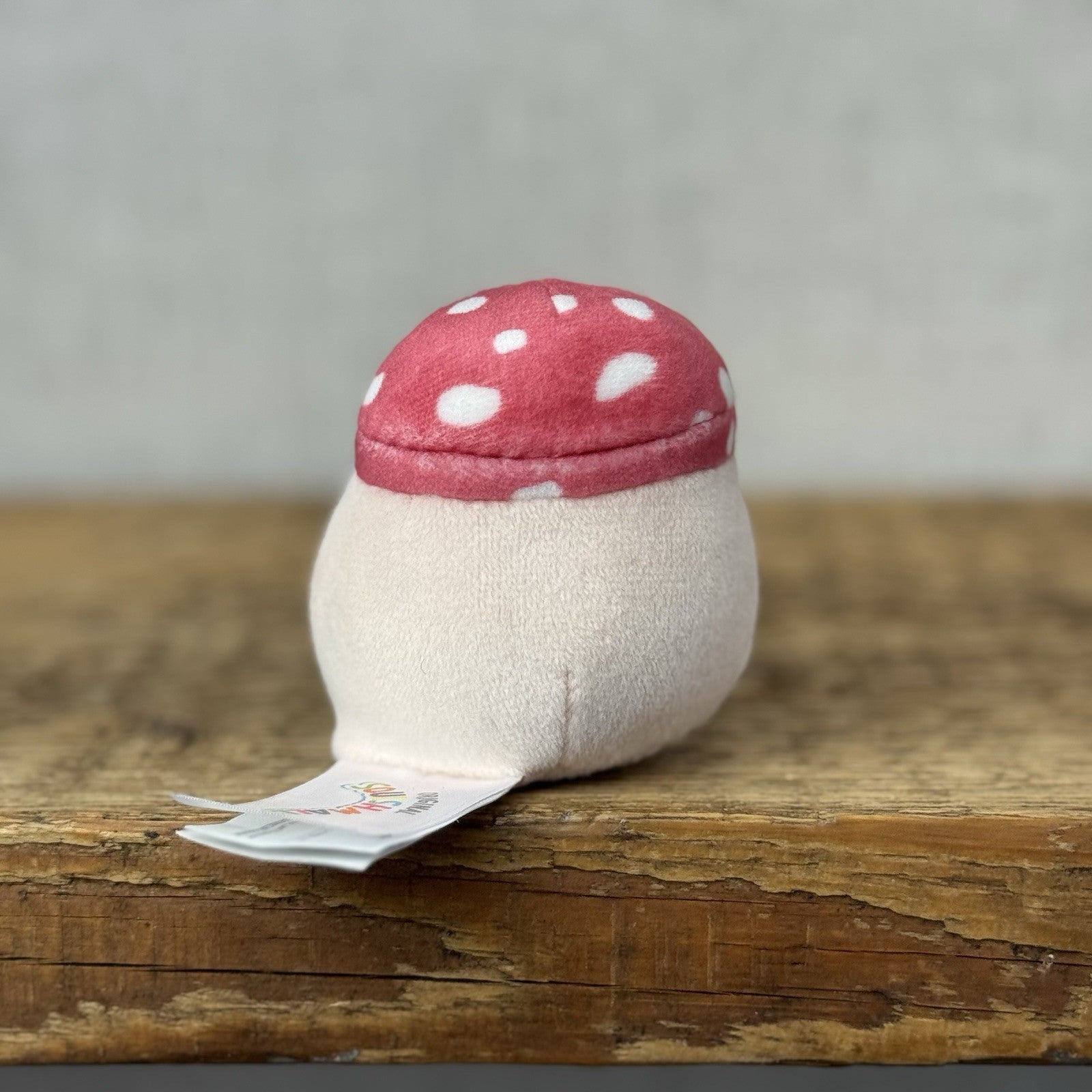 Squishmallow Micromallow - Mini Squish Malcolm The Red Spotted Mushroom Plush 3"