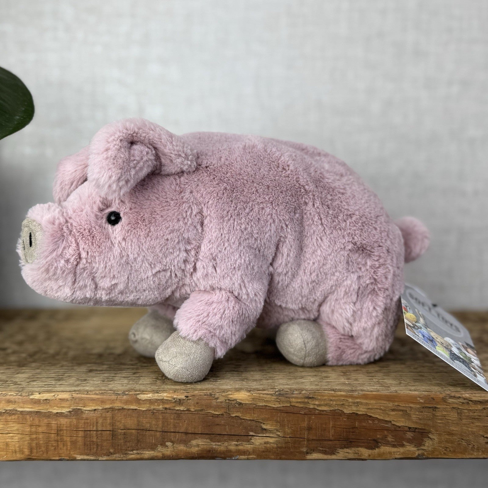 Jellycat Small Parker Piglet - Small Retired Pig Soft Toy Beanie Pink Piglet 8"