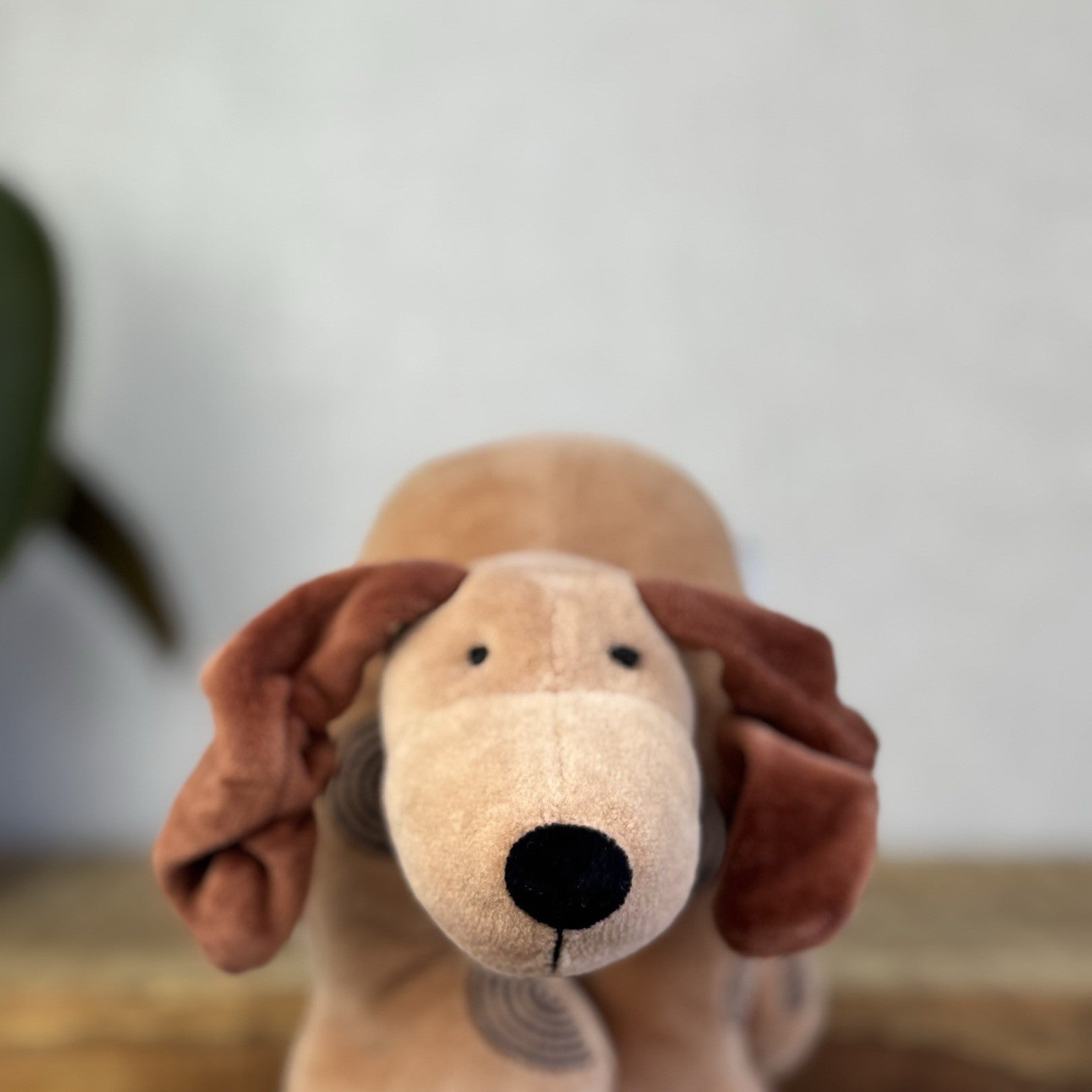 Jellycat Footfall Dog - Vintage Brown Jellycat Dog Beanie Retired Rare With Tags