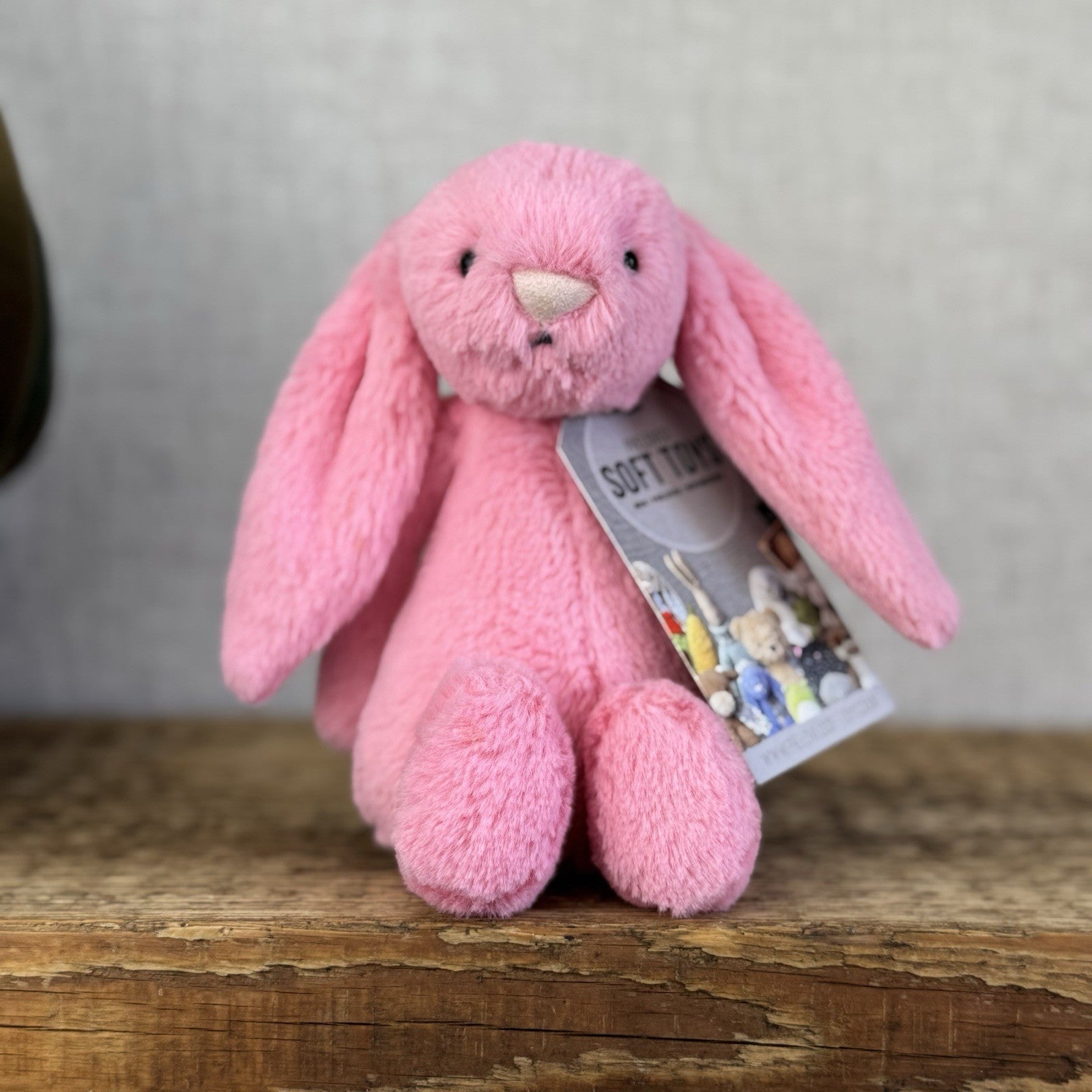 Jellycat Small Bashful Sorbet Bunny - Soft Pink Rabbit Retired Jellycat 8" (#2)